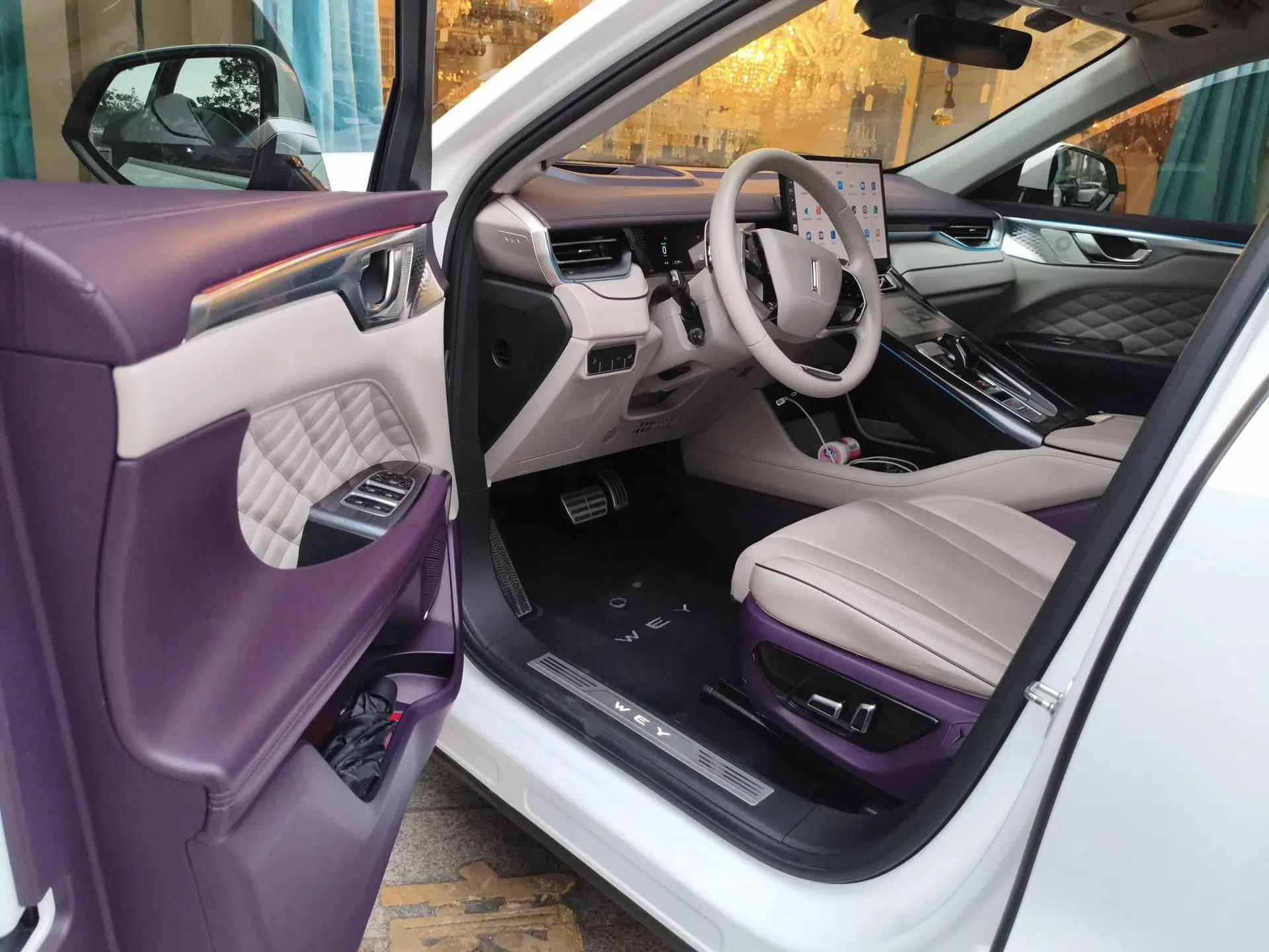 Wey Mocha 2021 2.0T Two-Wheel-Drive Ultra-Strong Version — миниатюра 17