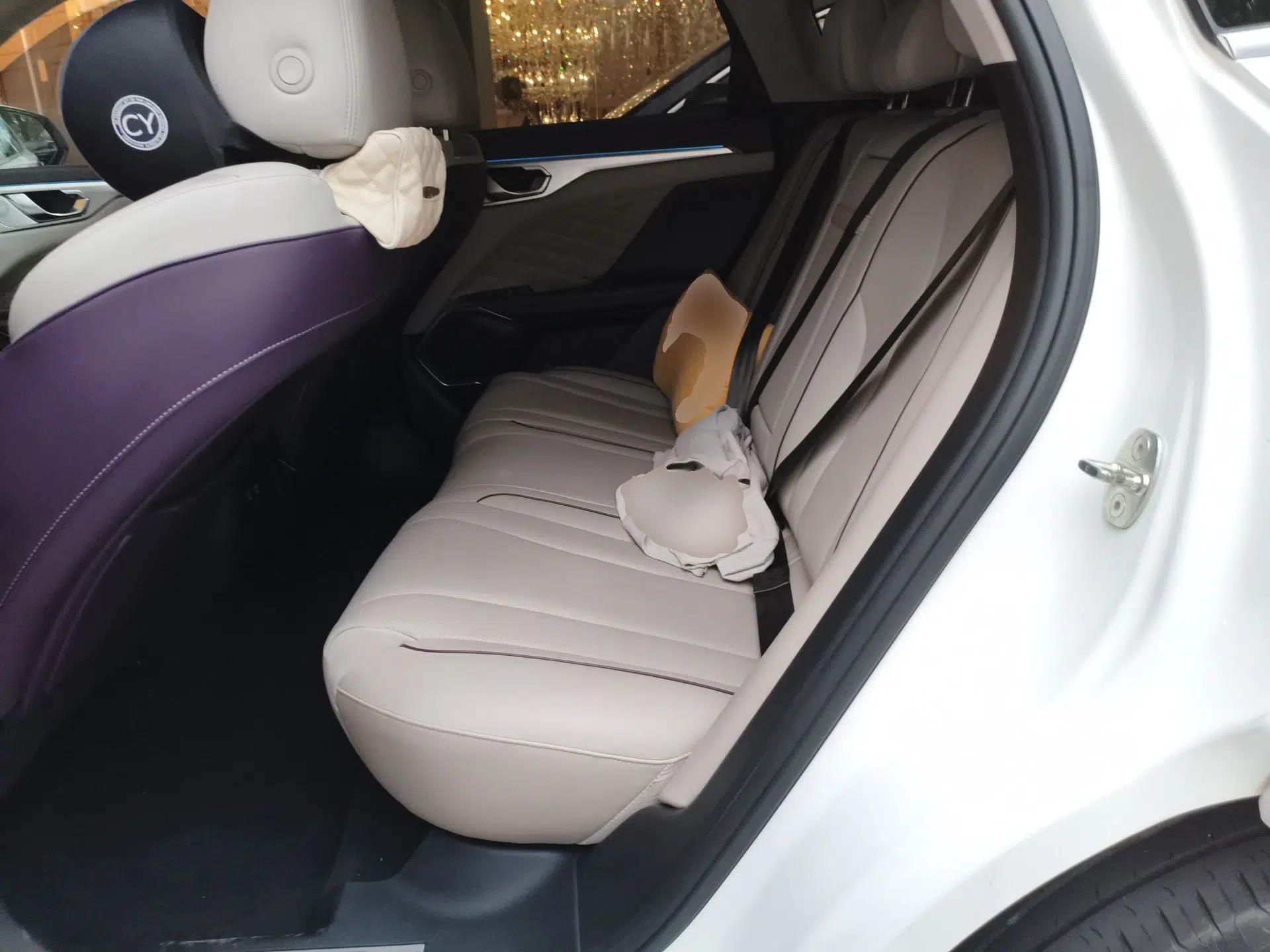 Wey Mocha 2021 2.0T Two-Wheel-Drive Ultra-Strong Version — миниатюра 18