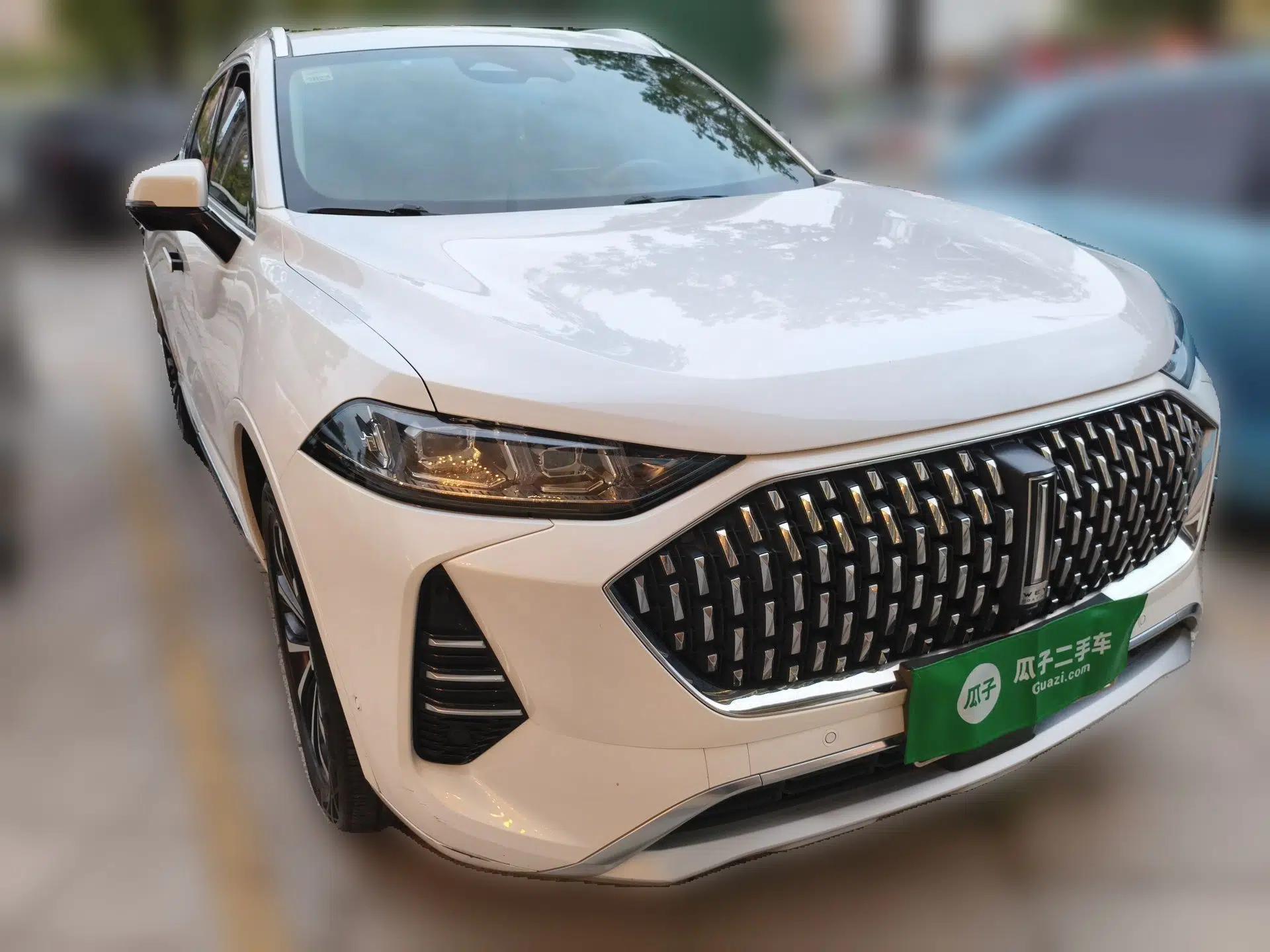 Wey Mocha 2021 2.0T Two-Wheel-Drive Ultra-Strong Version — миниатюра 3