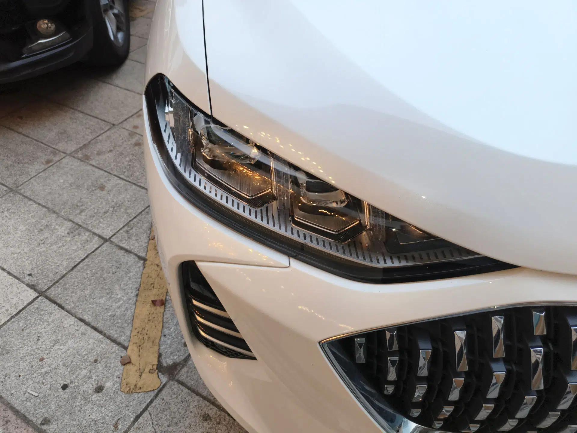 Wey Mocha 2021 2.0T Two-Wheel-Drive Ultra-Strong Version — миниатюра 7