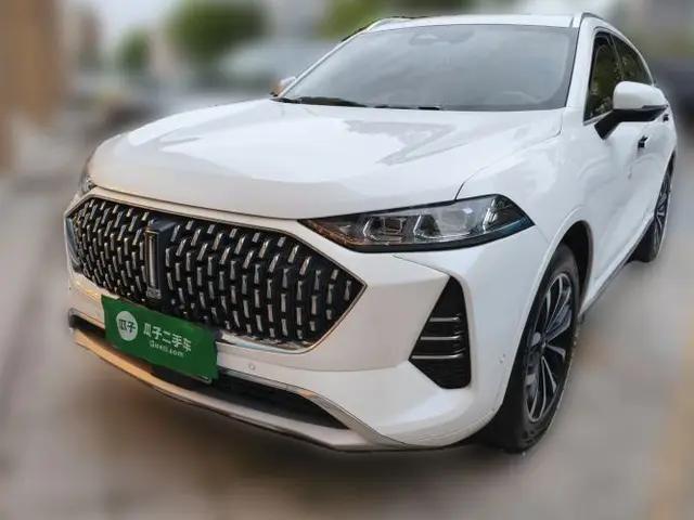 Wey Mocha 2021 2.0T Two-Wheel-Drive Ultra-Strong Version