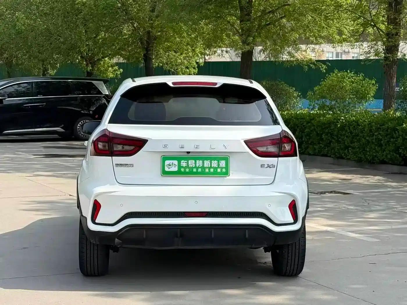 EX3 Kung Fu Bull 2021 Model — миниатюра 5