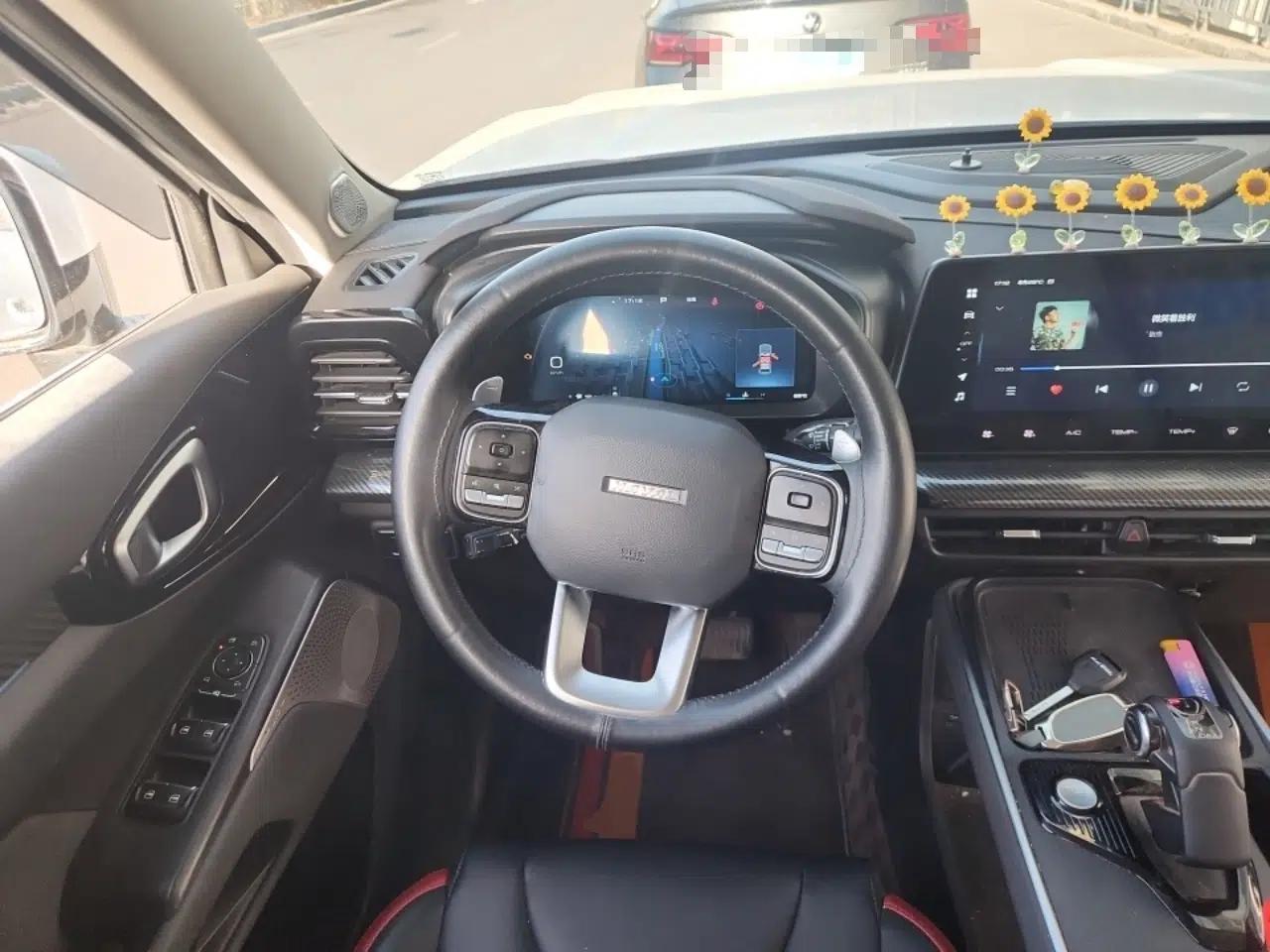 Haval X DOG 2022 1.5T DCT Two-Wheel Drive Trendy Edition — миниатюра 11
