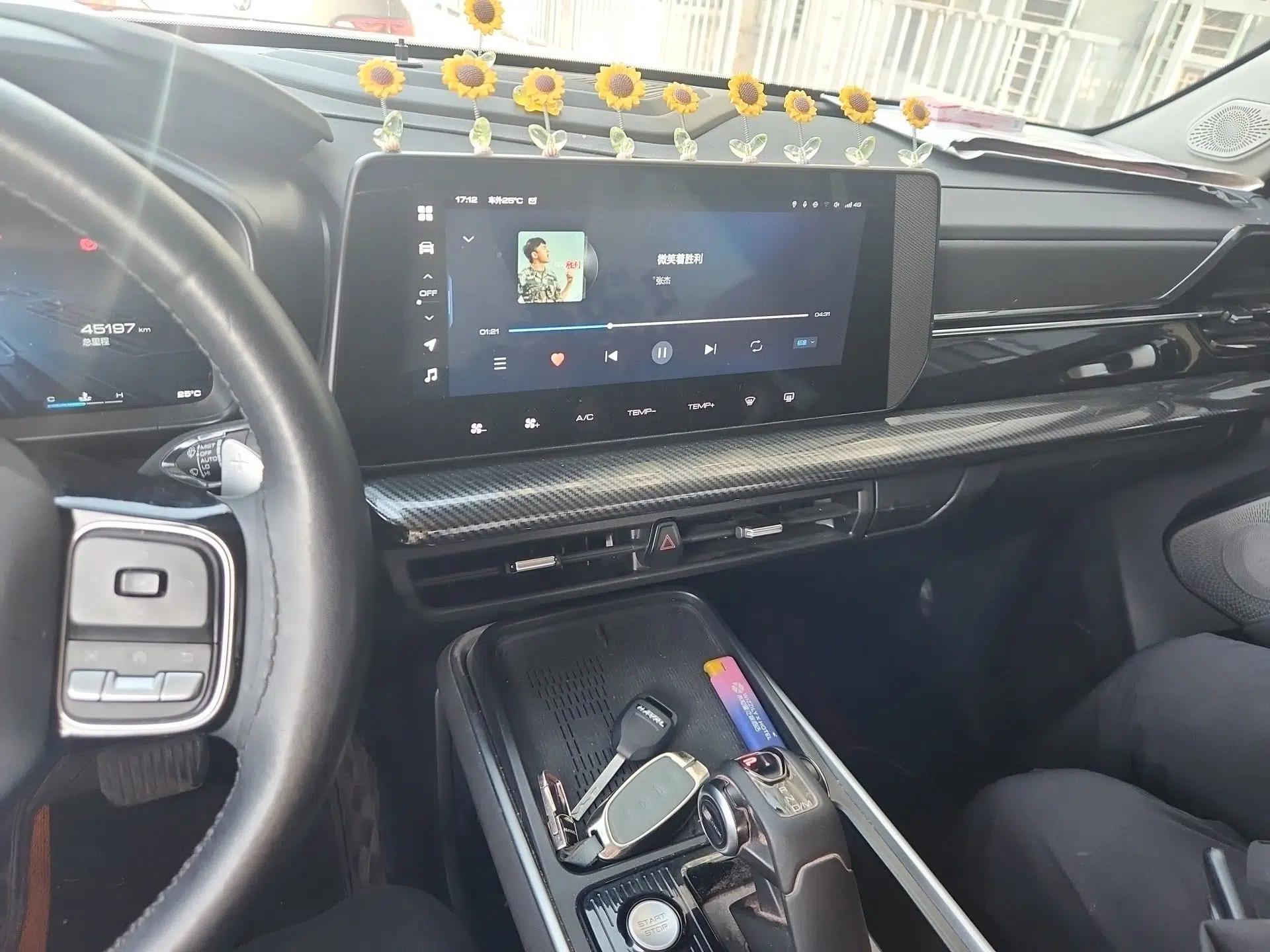 Haval X DOG 2022 1.5T DCT Two-Wheel Drive Trendy Edition — миниатюра 14