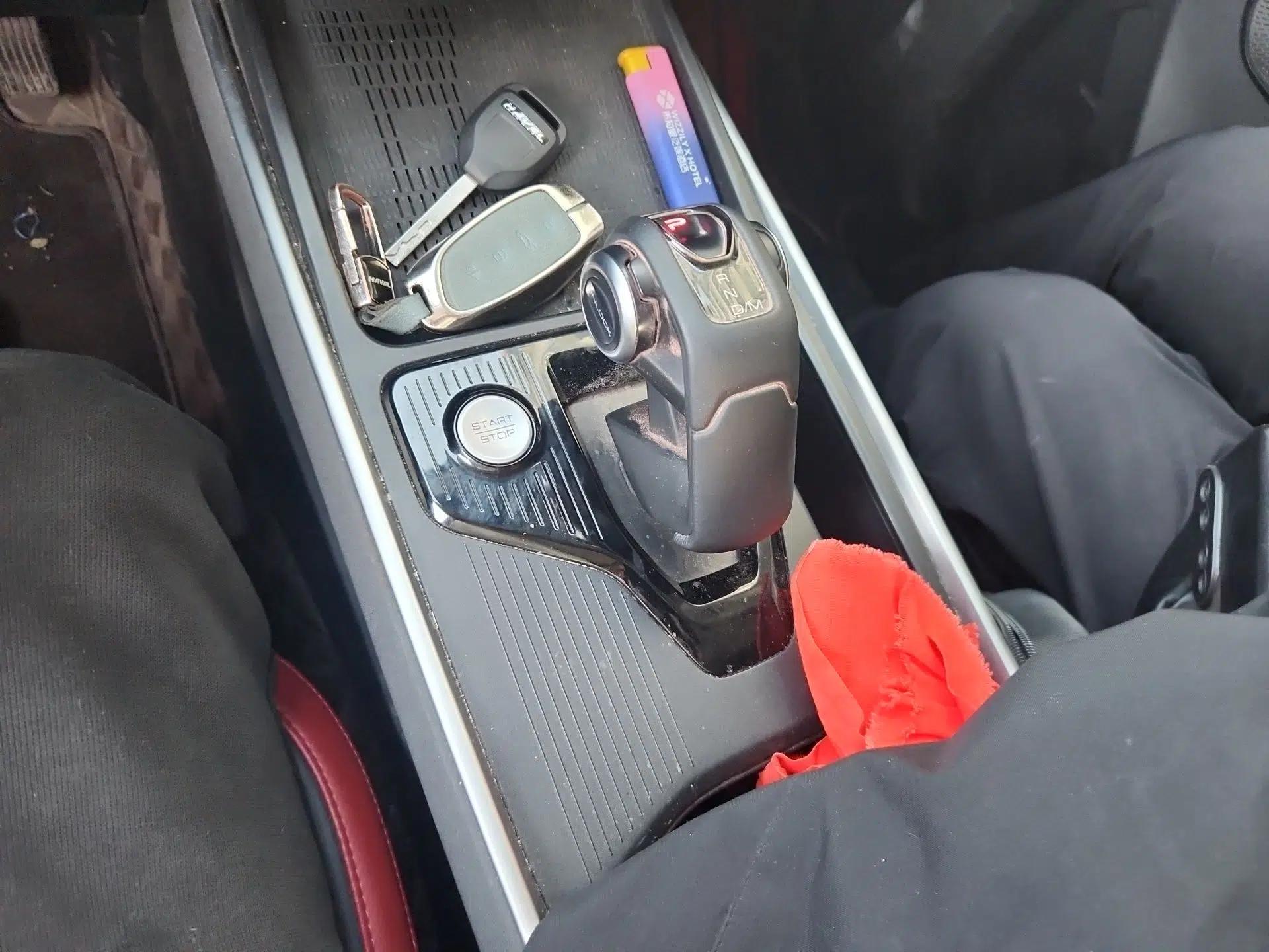 Haval X DOG 2022 1.5T DCT Two-Wheel Drive Trendy Edition — миниатюра 15