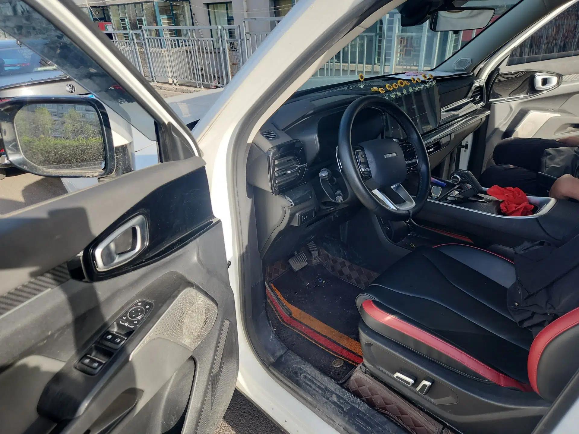 Haval X DOG 2022 1.5T DCT Two-Wheel Drive Trendy Edition — миниатюра 17