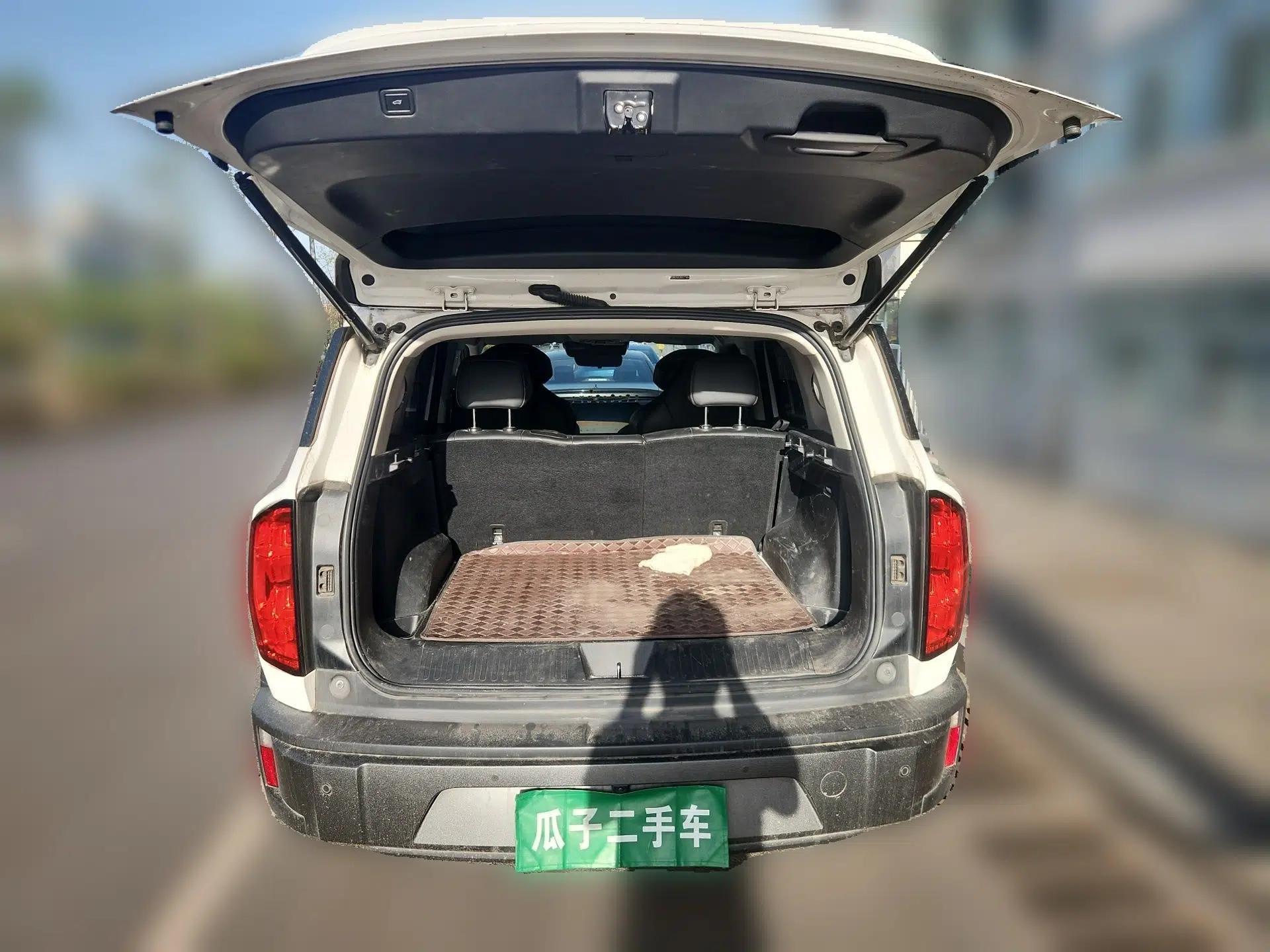 Haval X DOG 2022 1.5T DCT Two-Wheel Drive Trendy Edition — миниатюра 20