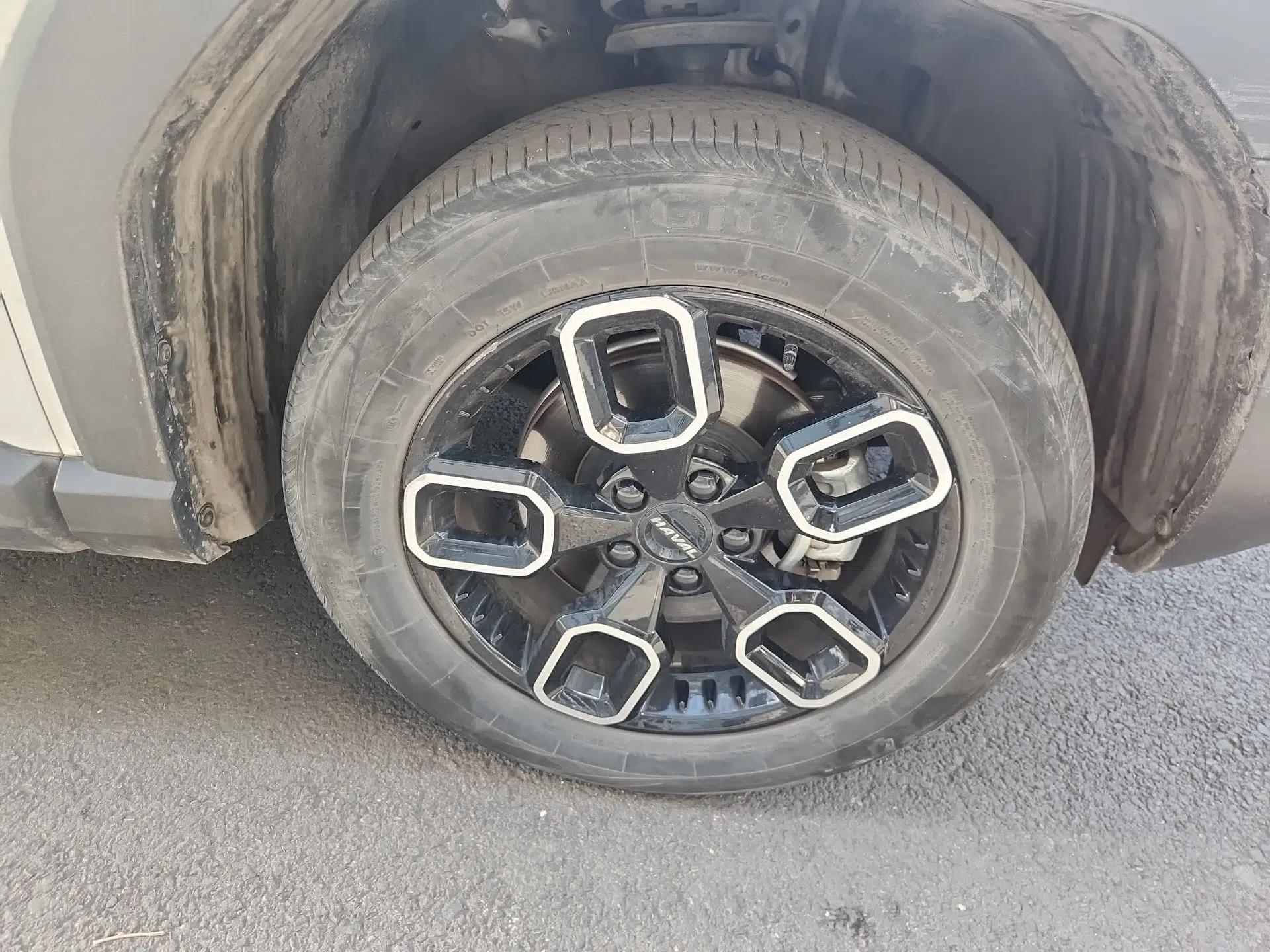 Haval X DOG 2022 1.5T DCT Two-Wheel Drive Trendy Edition — миниатюра 8