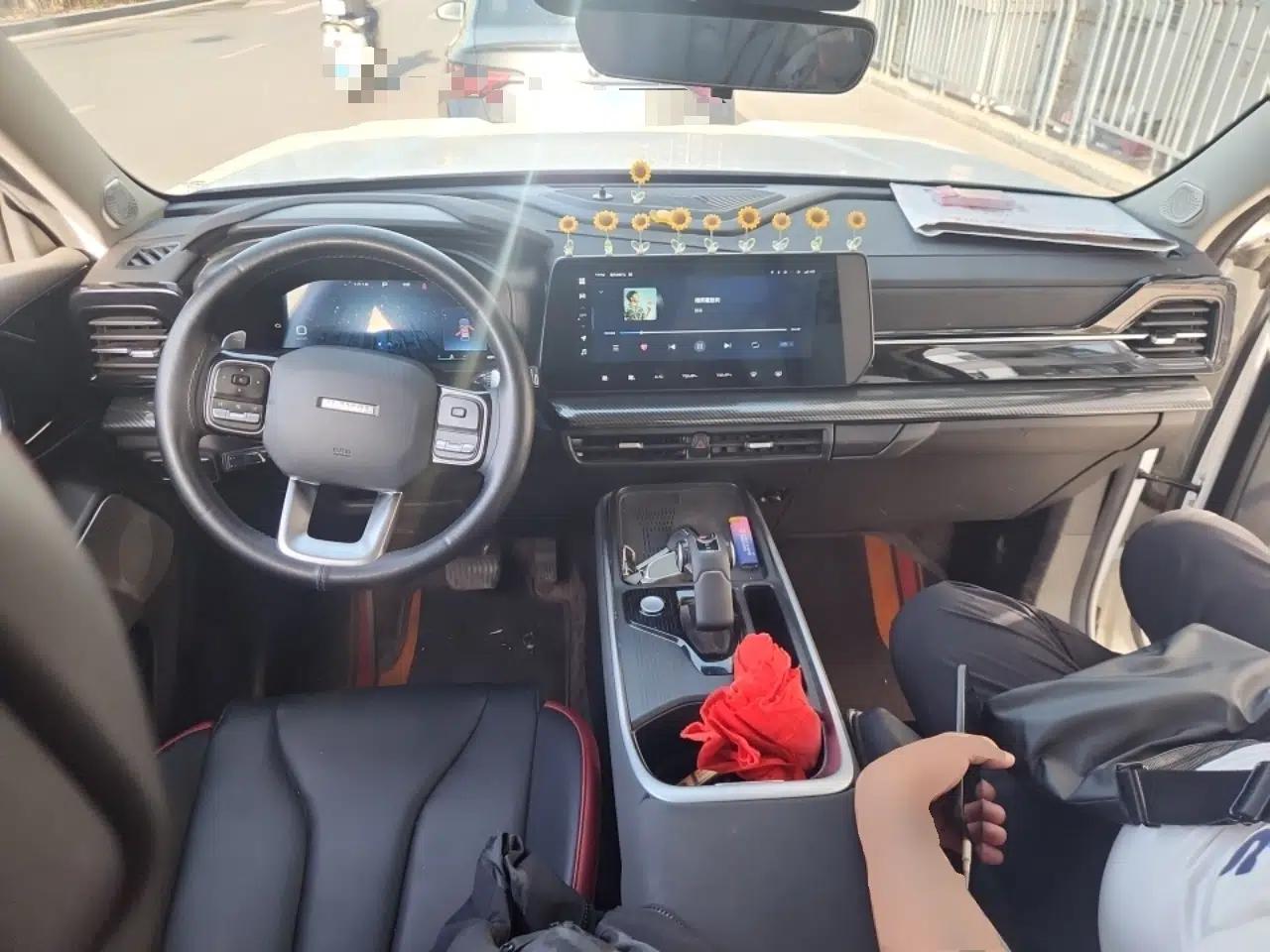 Haval X DOG 2022 1.5T DCT Two-Wheel Drive Trendy Edition — миниатюра 10