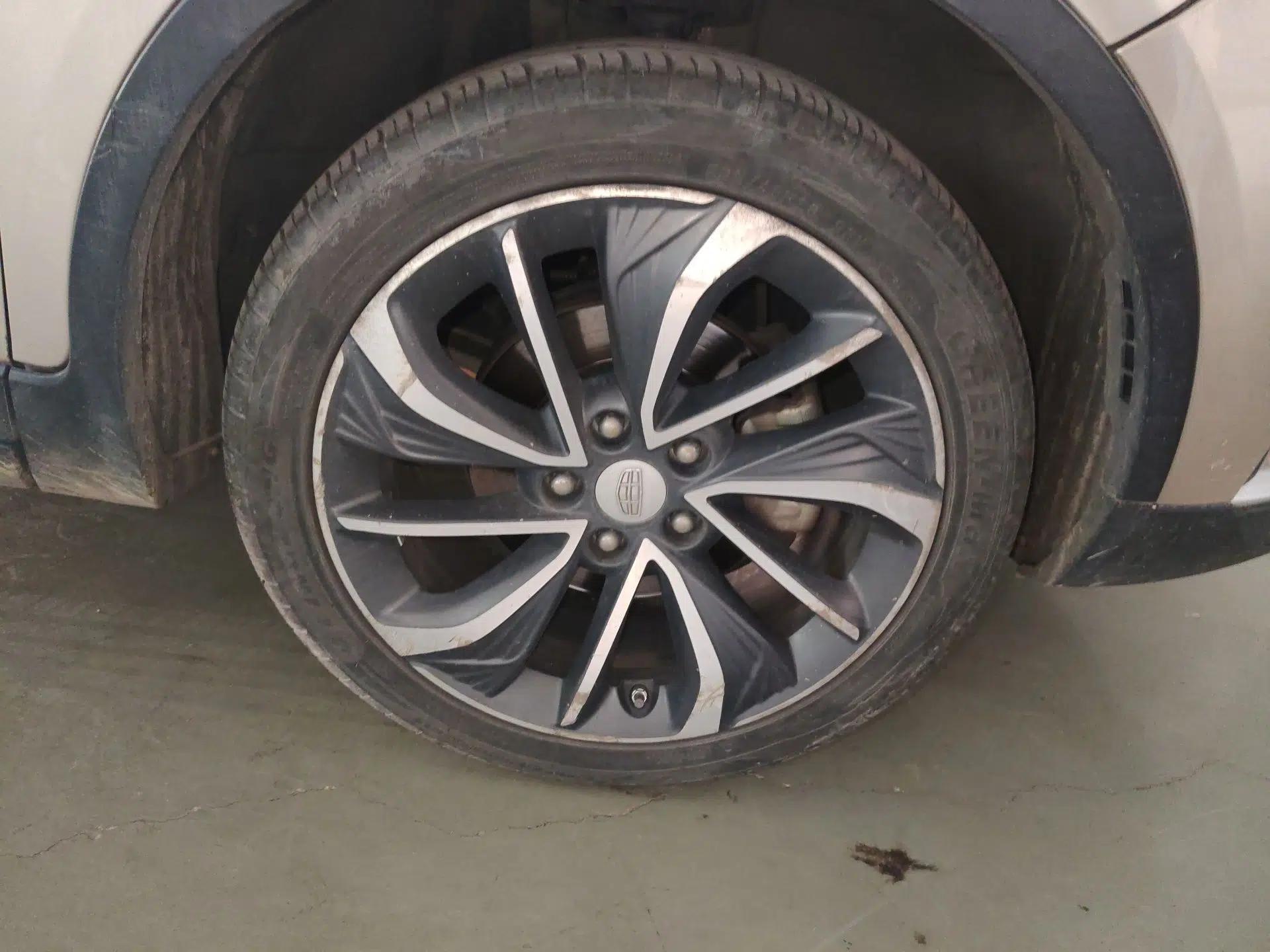 Geely Auto Emgrand GSe 2018 ZhenShang Model — миниатюра 8