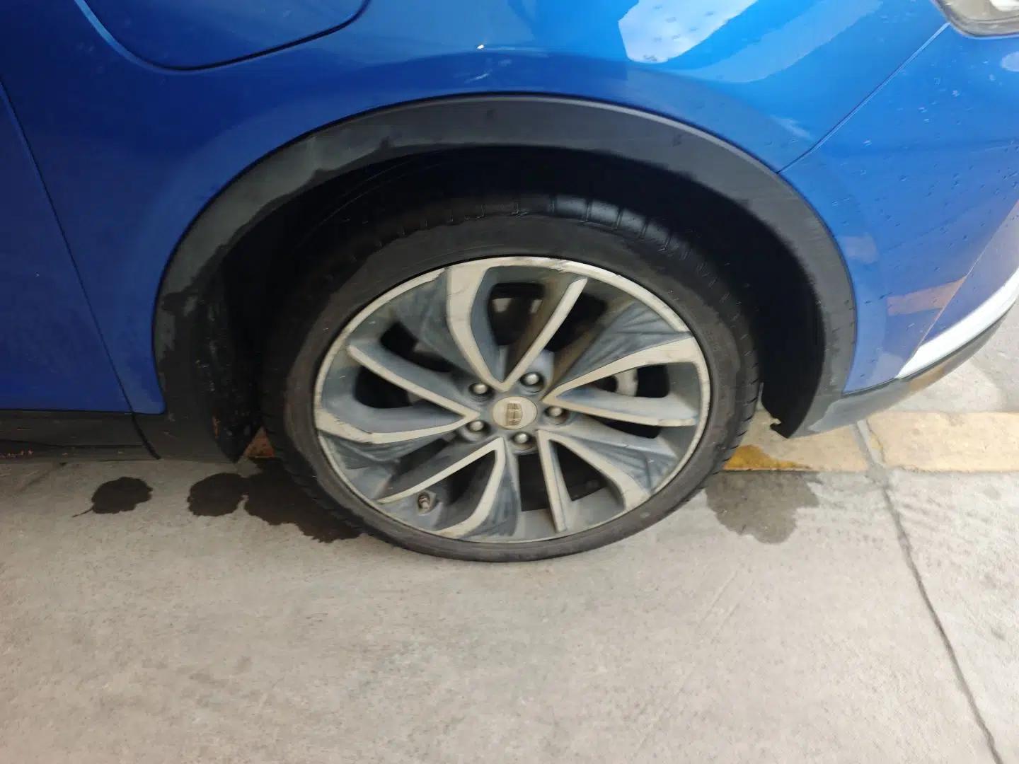 Geely Auto Emgrand GSe 2018 Zunshang Model — миниатюра 8