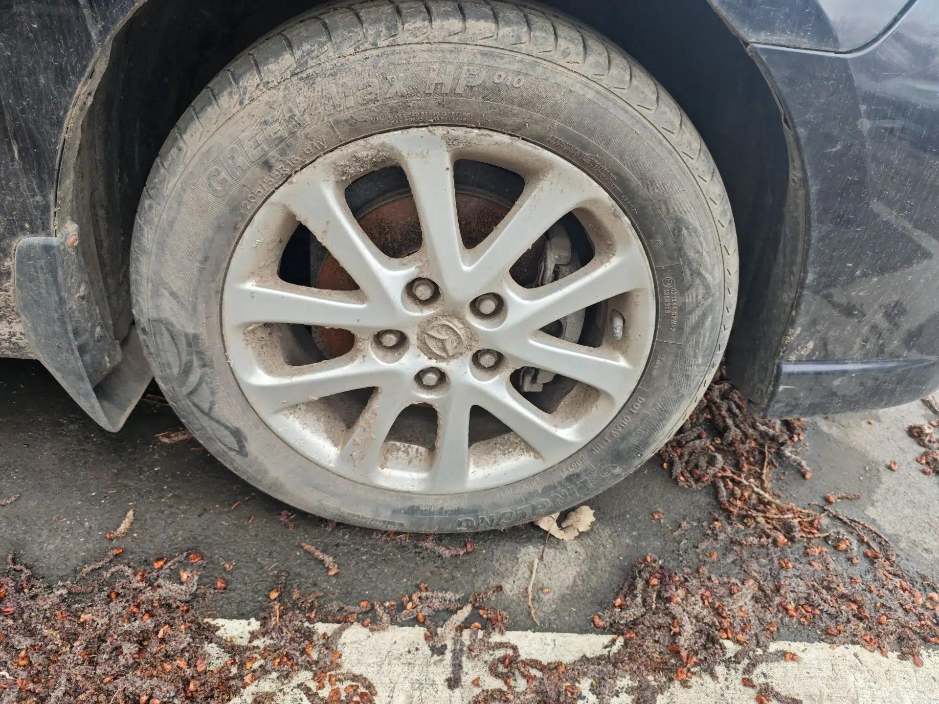 Mazda 5 2008 2.0 Manual Comfort Version — миниатюра 8
