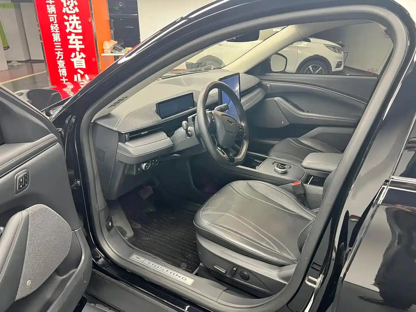 Ford e31 2021 Model X Unlimited Rear-Wheel Drive Luxury Edition Long Range — миниатюра 4