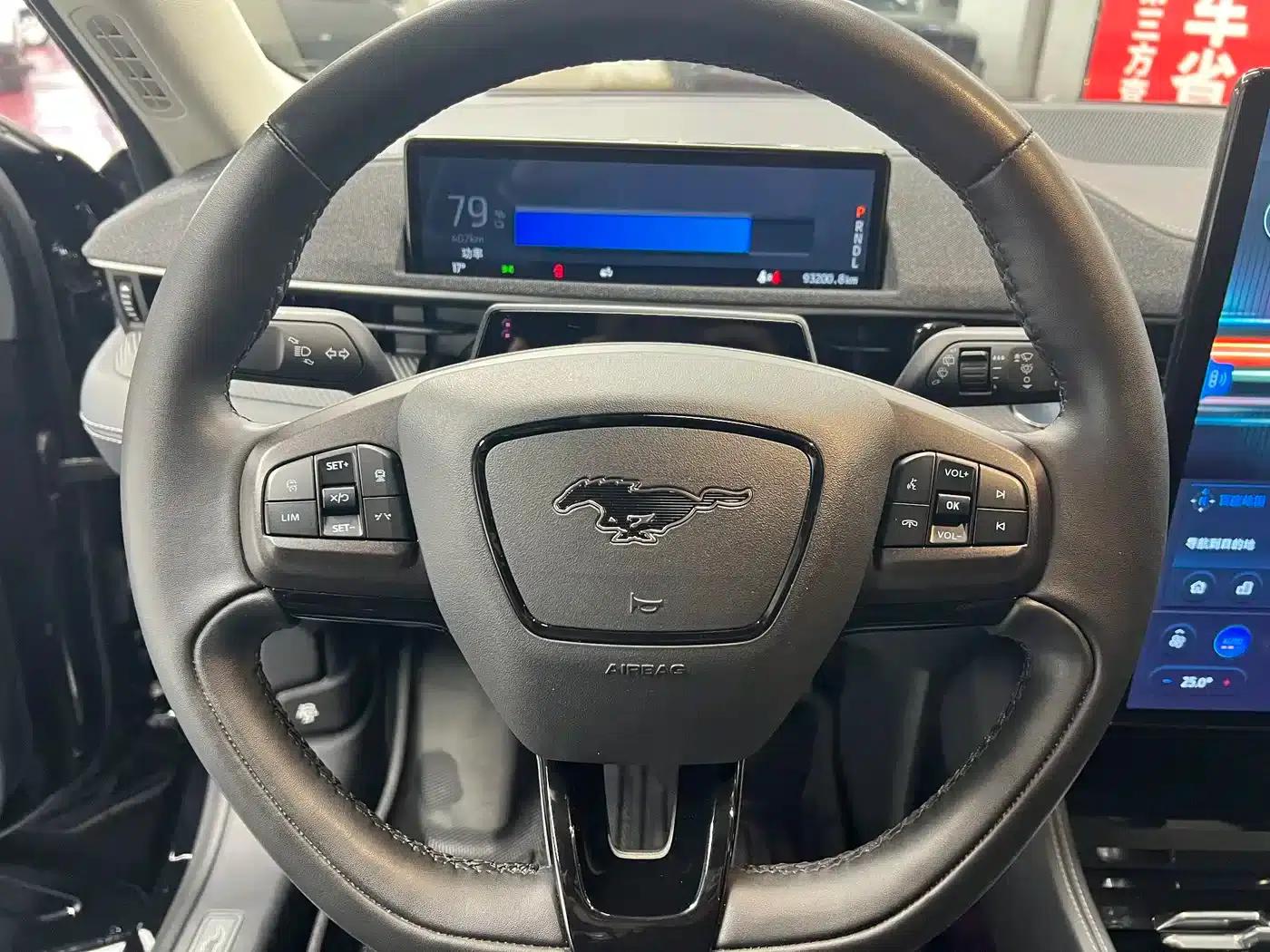 Ford e31 2021 Model X Unlimited Rear-Wheel Drive Luxury Edition Long Range — миниатюра 6