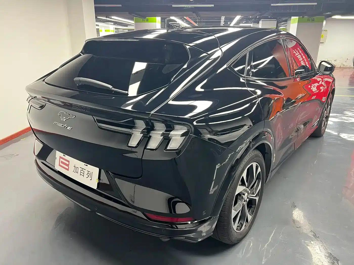 Ford e31 2021 Model X Unlimited Rear-Wheel Drive Luxury Edition Long Range — миниатюра 10