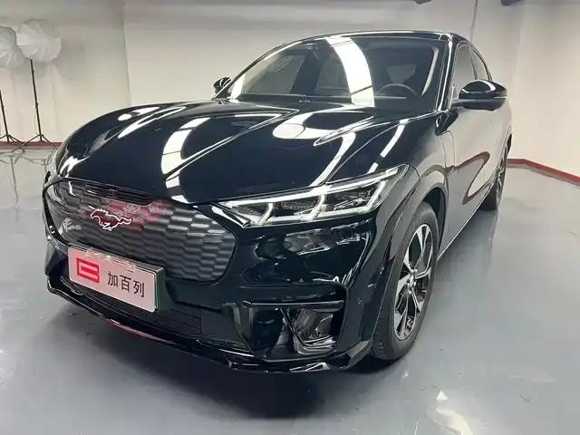 Ford e31 2021 Model X Unlimited Rear-Wheel Drive Luxury Edition Long Range