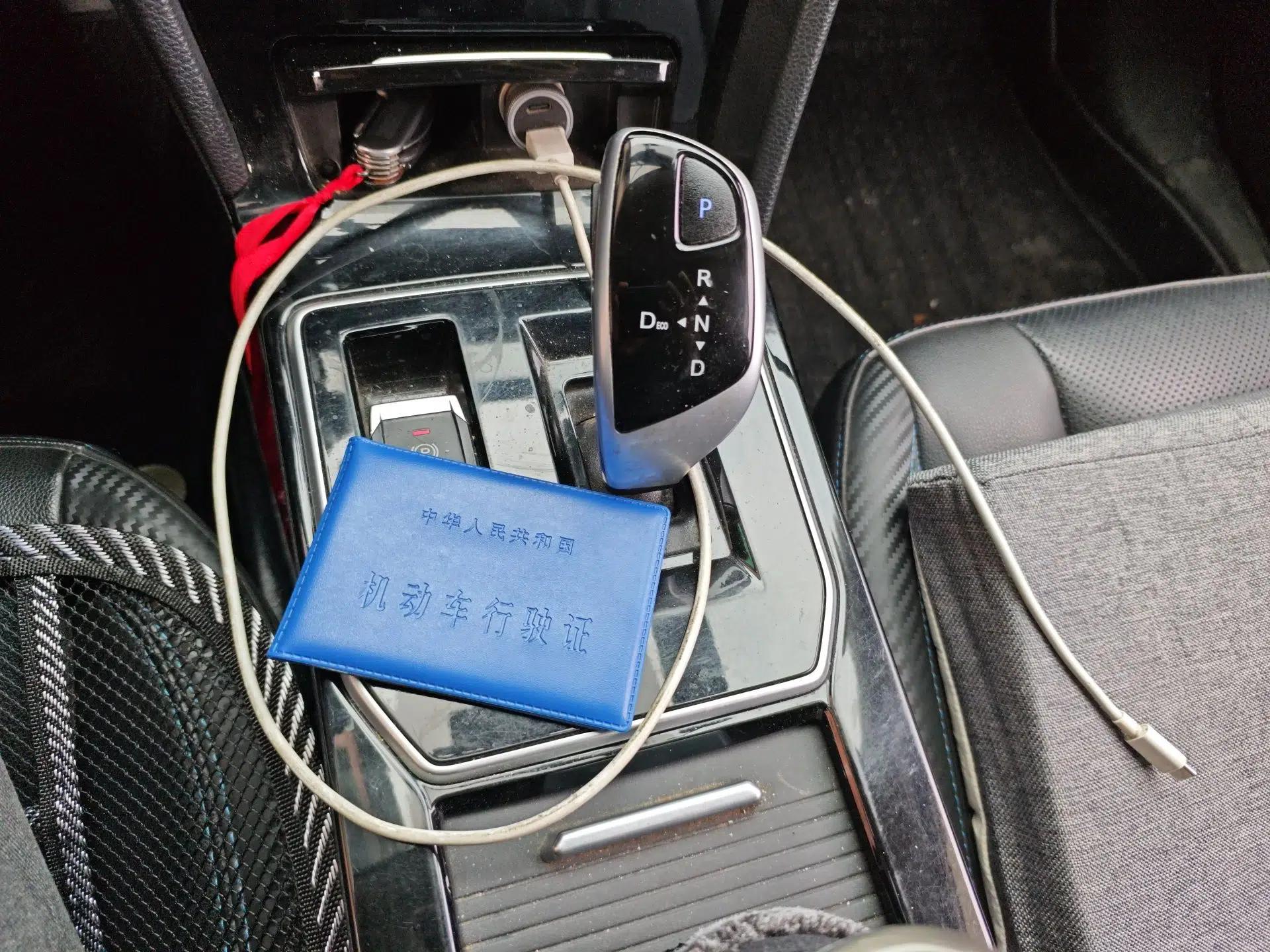 Venucia D60EV 2022 Standard Range Smart Drive Version — миниатюра 15
