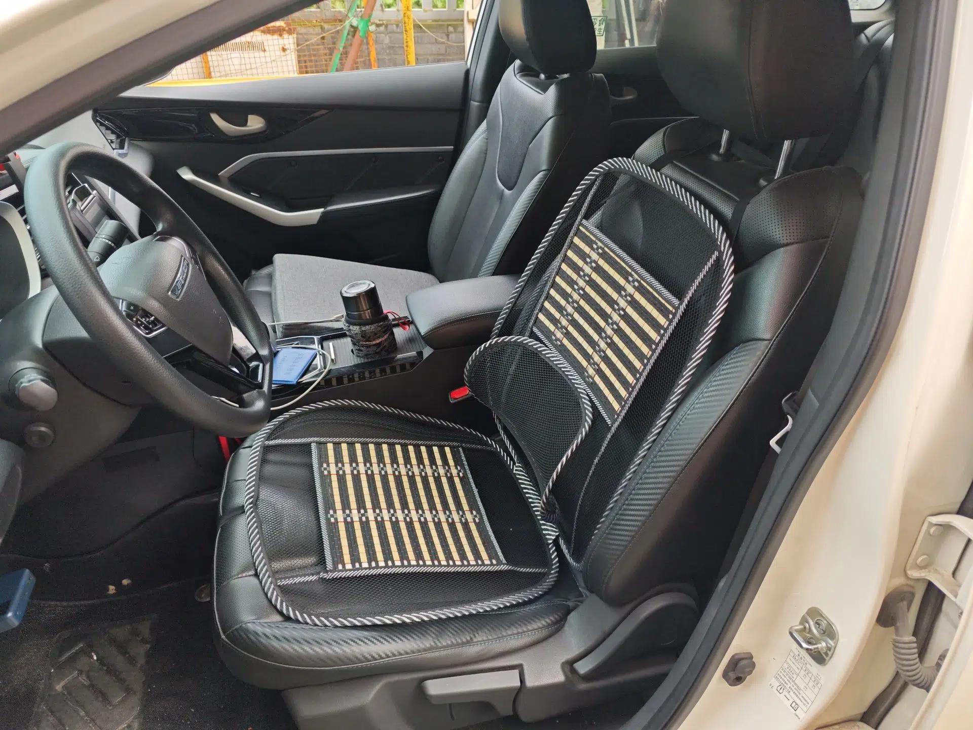 Venucia D60EV 2022 Standard Range Smart Drive Version — миниатюра 16