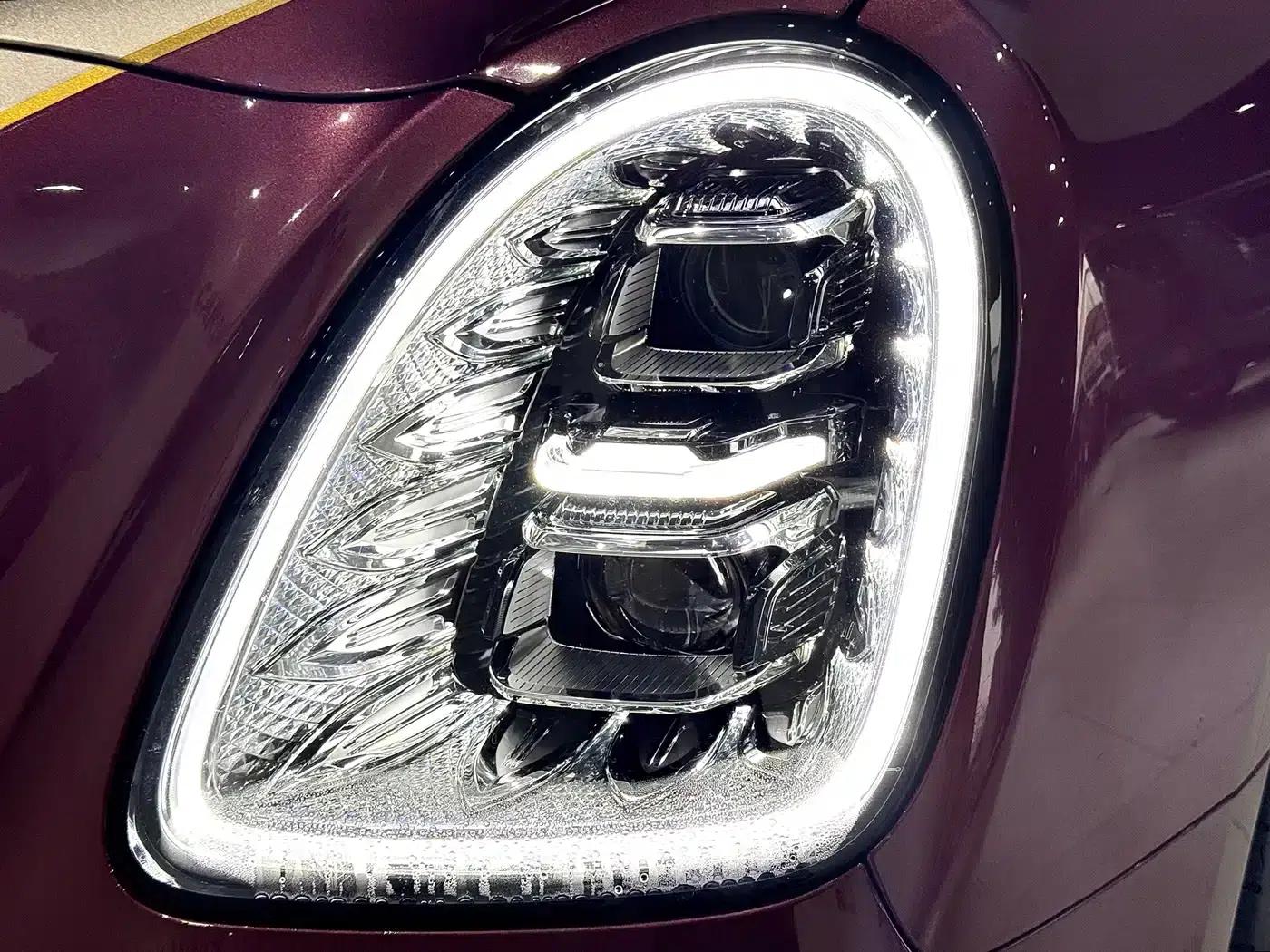 Hongqi Golden Sunflower Elegant 2024 Model 4.0T V8 — миниатюра 8