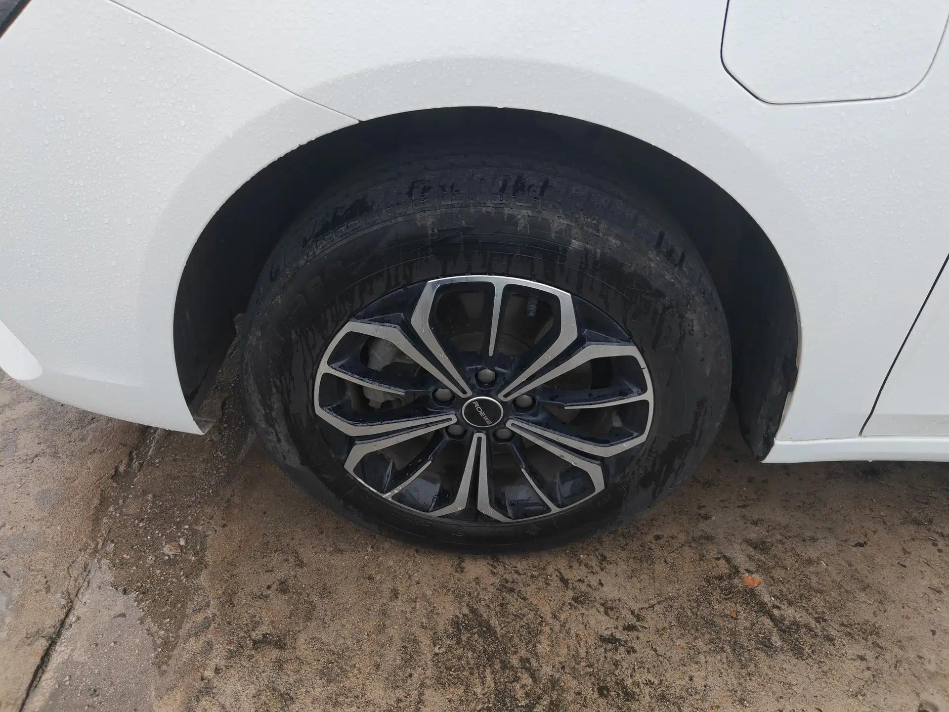 Roewe i6 MAX New Energy 2023 EV 420 Skyroof Special Edition — миниатюра 8
