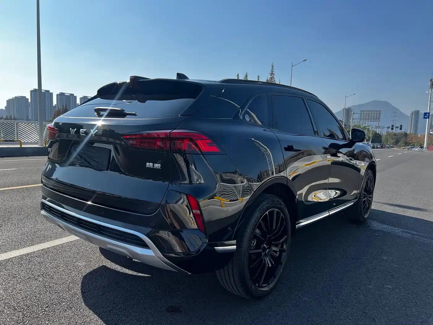Wey brand Mocha 2021 2.0T 2WD Special Edition — миниатюра 15