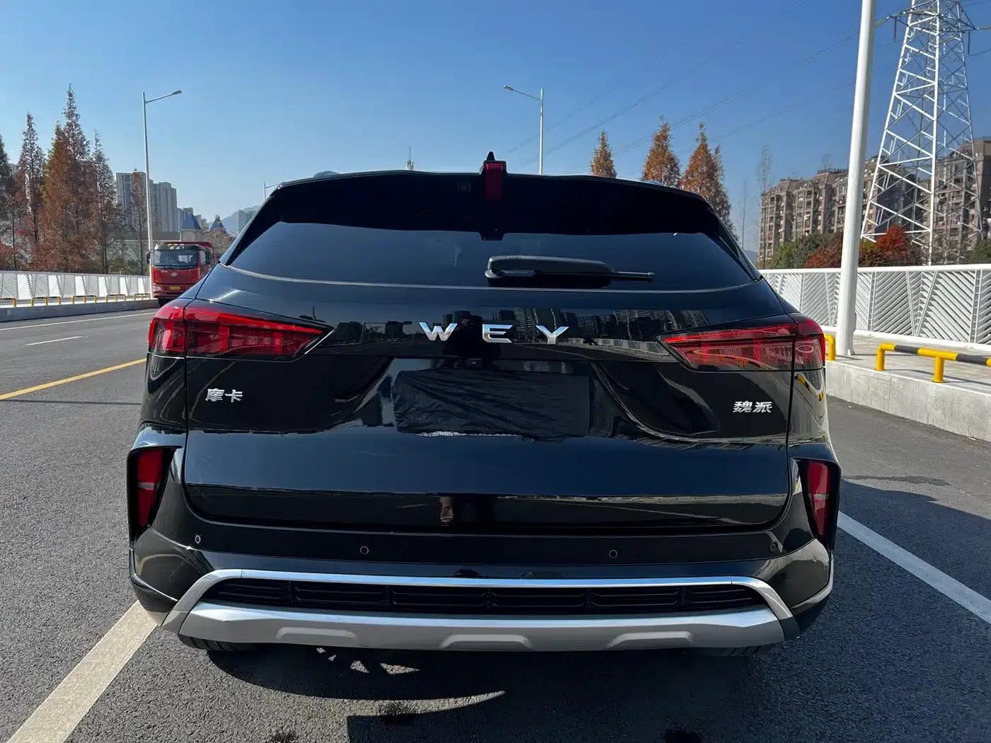 Wey brand Mocha 2021 2.0T 2WD Special Edition — миниатюра 16