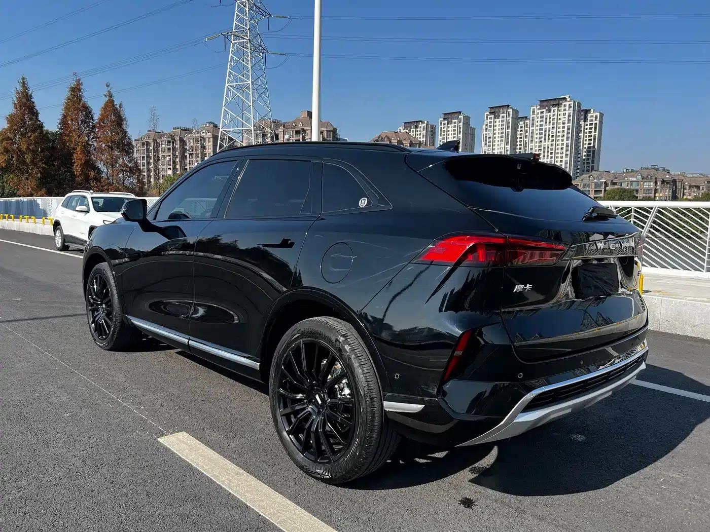 Wey brand Mocha 2021 2.0T 2WD Special Edition — миниатюра 17
