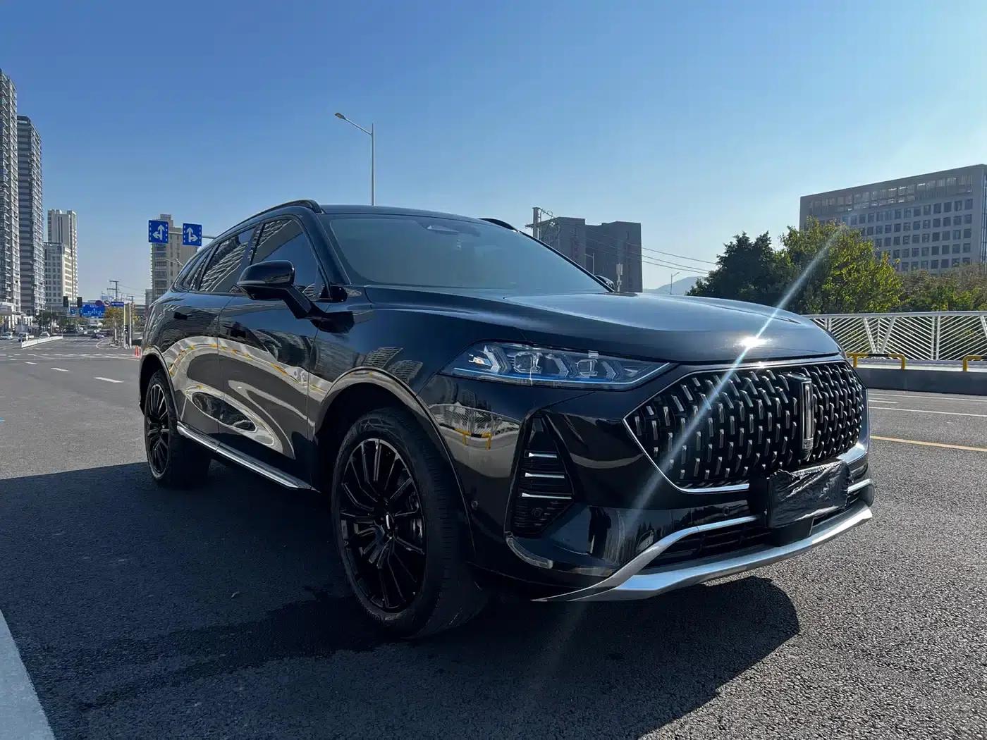 Wey brand Mocha 2021 2.0T 2WD Special Edition — миниатюра 3