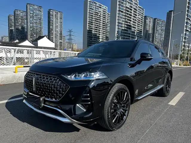 Wey brand Mocha 2021 2.0T 2WD Special Edition