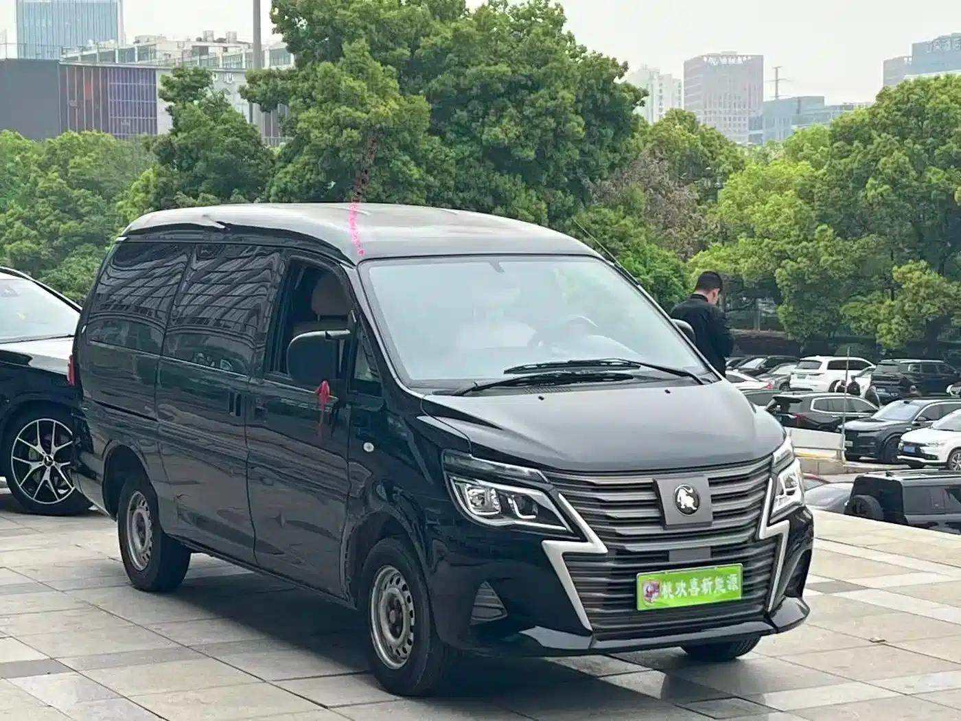 Lingzhi New Energy 2023 Passenger Version Classic 5-Seater — миниатюра 3