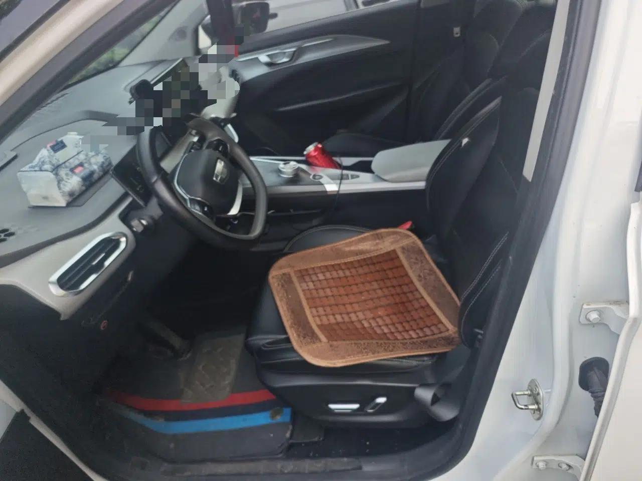 Geometry C 2020 Selected Range Edition 550 KM C++ — миниатюра 16