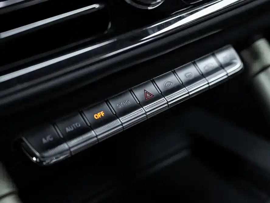 Hongqi Golden Sunflower National Glory 2022 4.0T Elegant Flagship Edition 6-seater — миниатюра 18