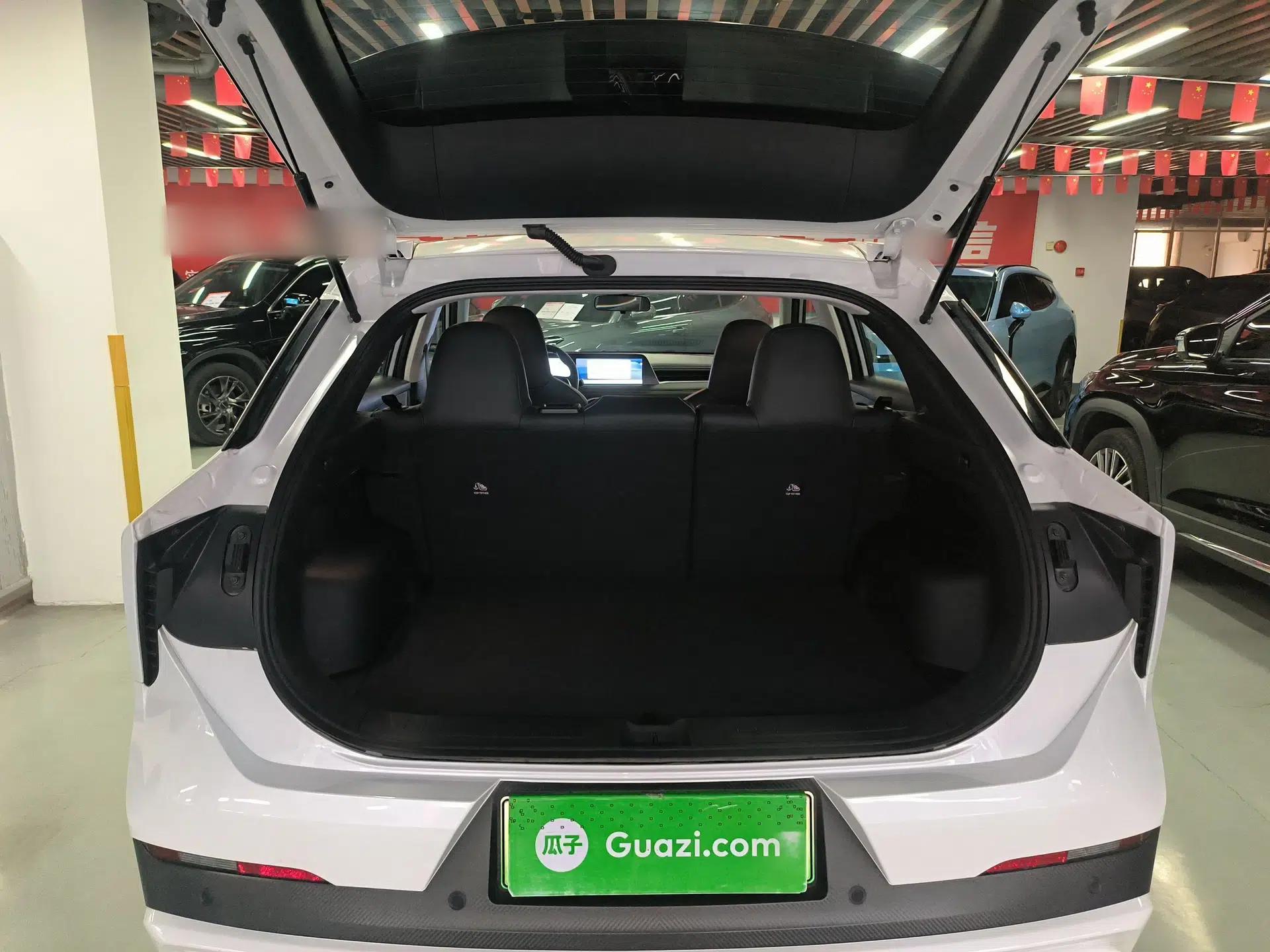 Venucia V DD-i 2025 Orca 150km Joyful Journey Edition — миниатюра 22