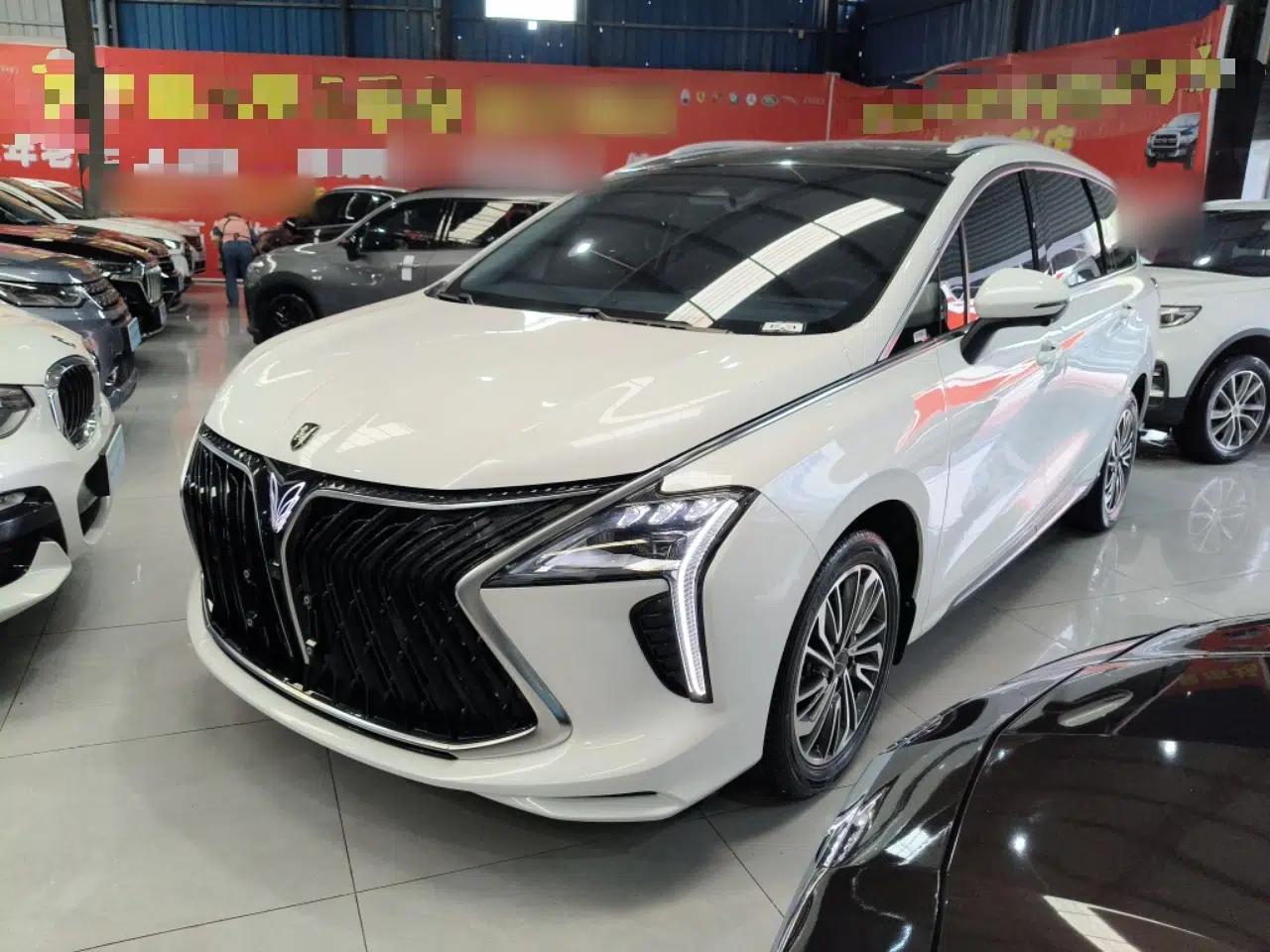 FORTHING Yacht 2024 1.5T DCT Guanhai Edition — миниатюра 1