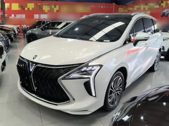 FORTHING Yacht 2024 1.5T DCT Guanhai Edition