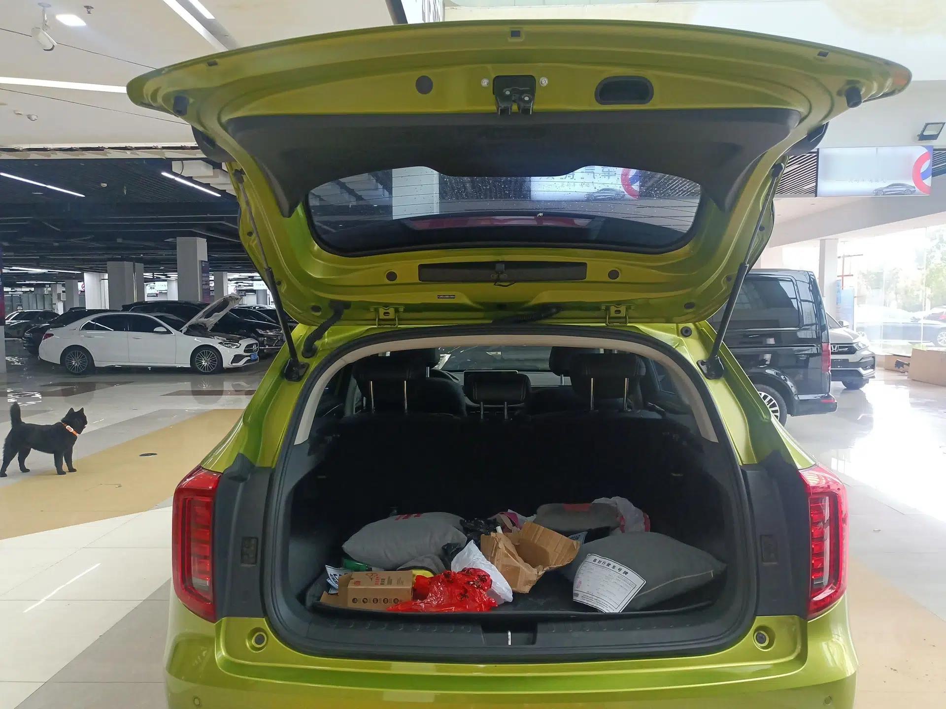 Haval JOLION 2021 1.5T Automatic Grand Three-Volume Version — миниатюра 22