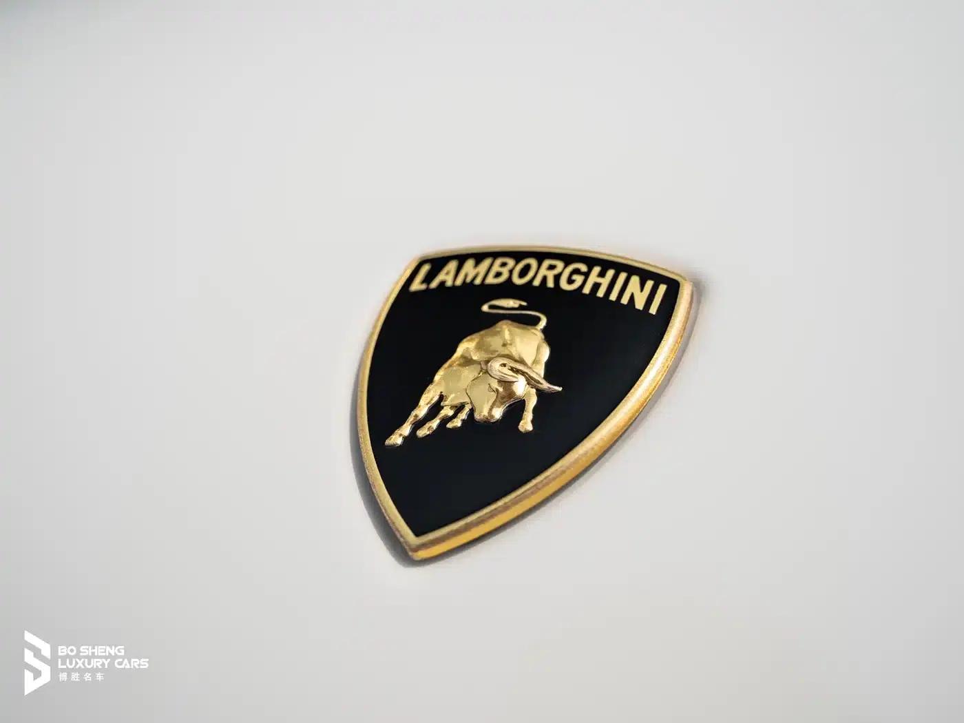 2012 Gallardo LP 550 — миниатюра 16