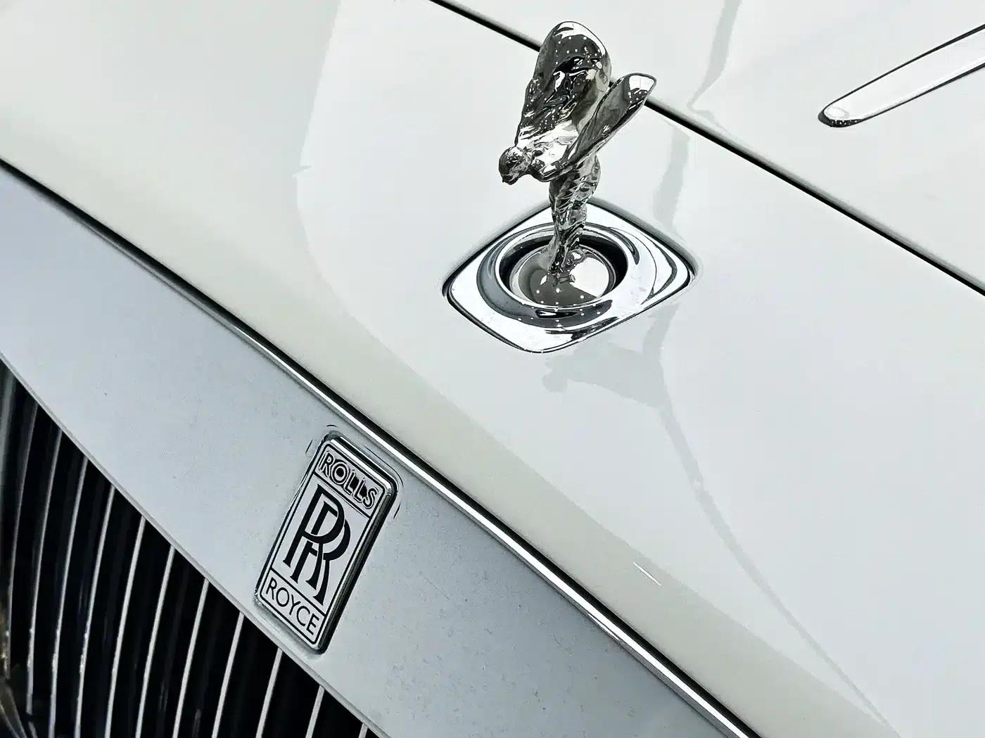 2015 Dawn 6.6T Standard Edition — миниатюра 5