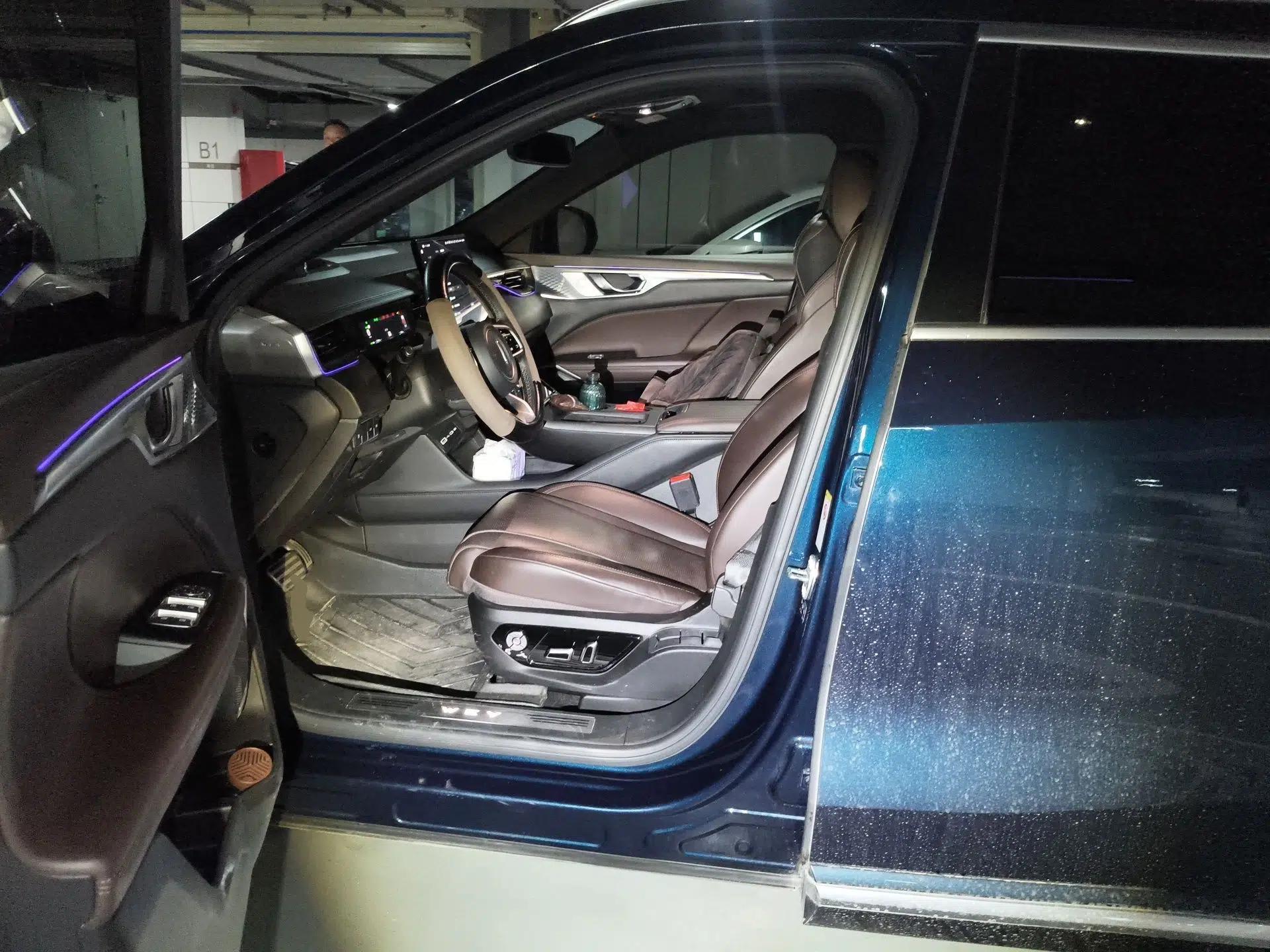 Wey Mocha New Energy 2023 Two-Wheel Drive Long-Range Version — миниатюра 16