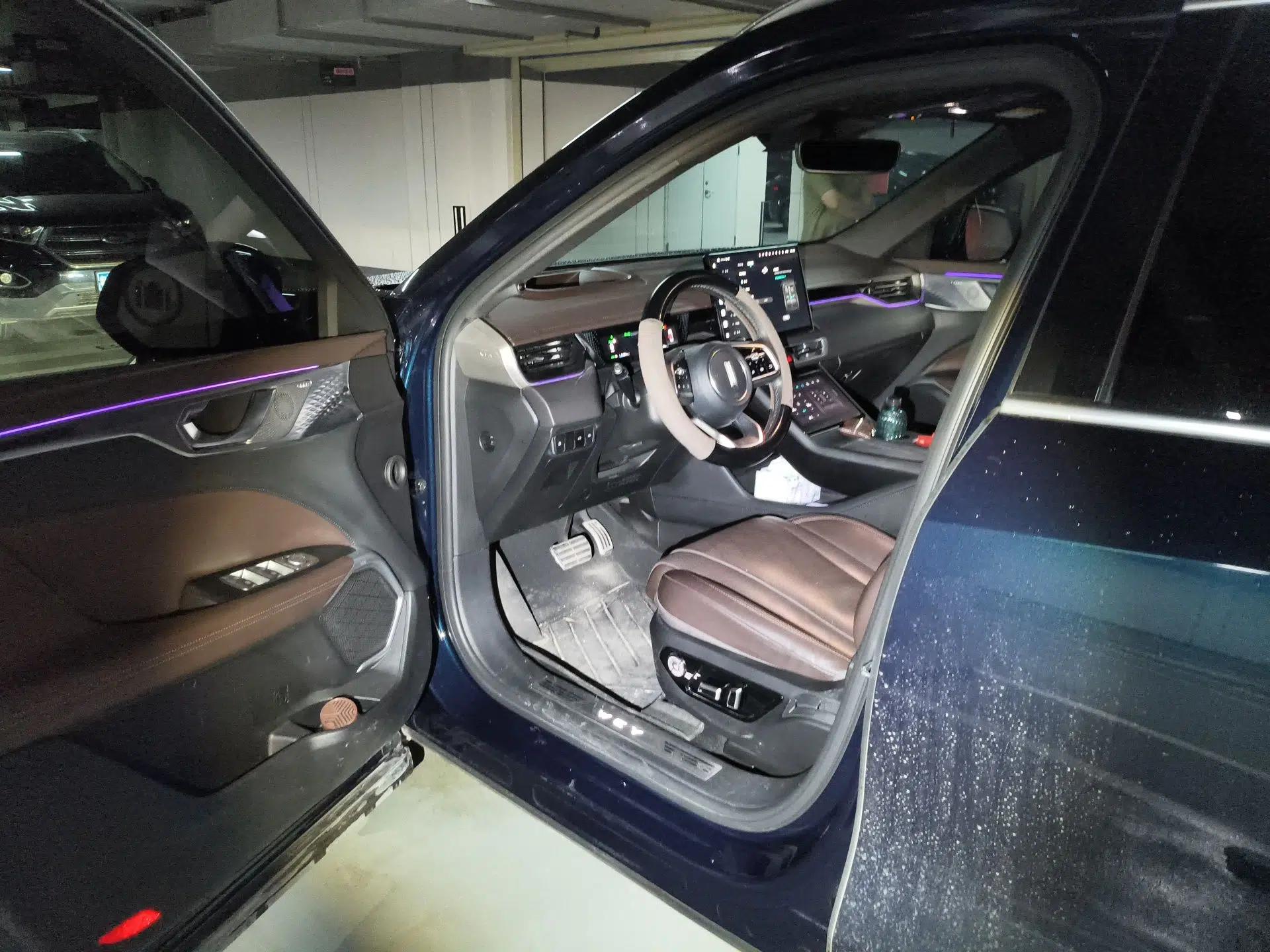 Wey Mocha New Energy 2023 Two-Wheel Drive Long-Range Version — миниатюра 17