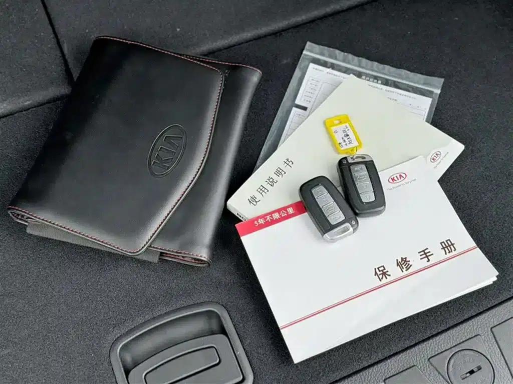 2015 Borrego 3.8L Luxury Edition (National IV Emission Standard) — миниатюра 7