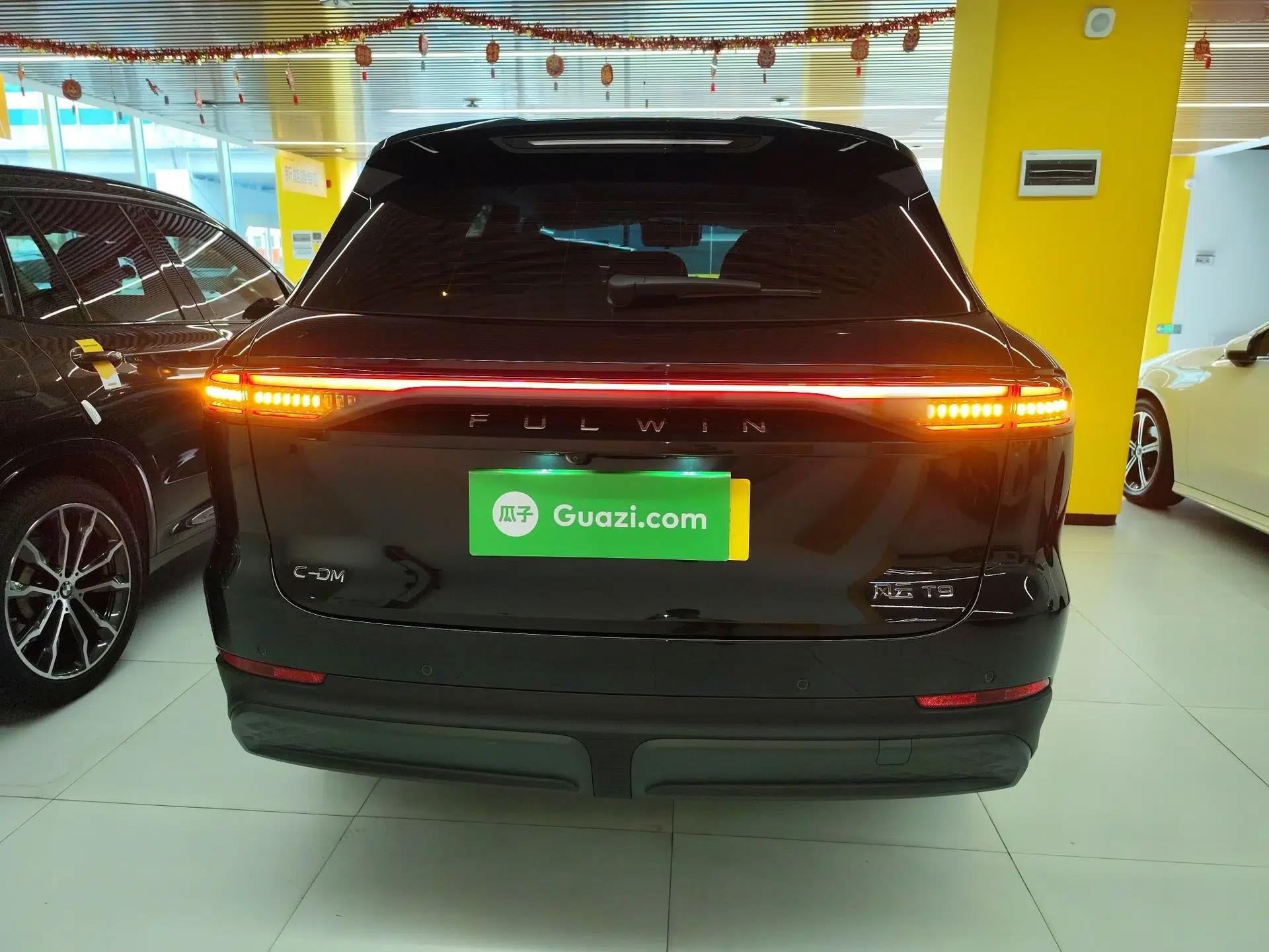 Chery Fengyun T9 2025 120 Long-Range Prestige Version 5 Seats Lithium Iron Phosphate — миниатюра 3