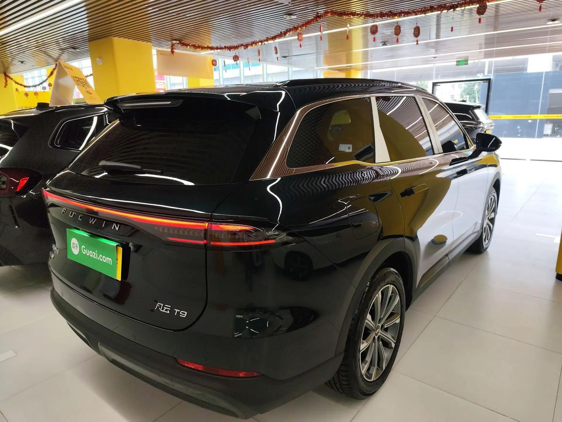 Chery Fengyun T9 2025 120 Long-Range Prestige Version 5 Seats Lithium Iron Phosphate — миниатюра 4