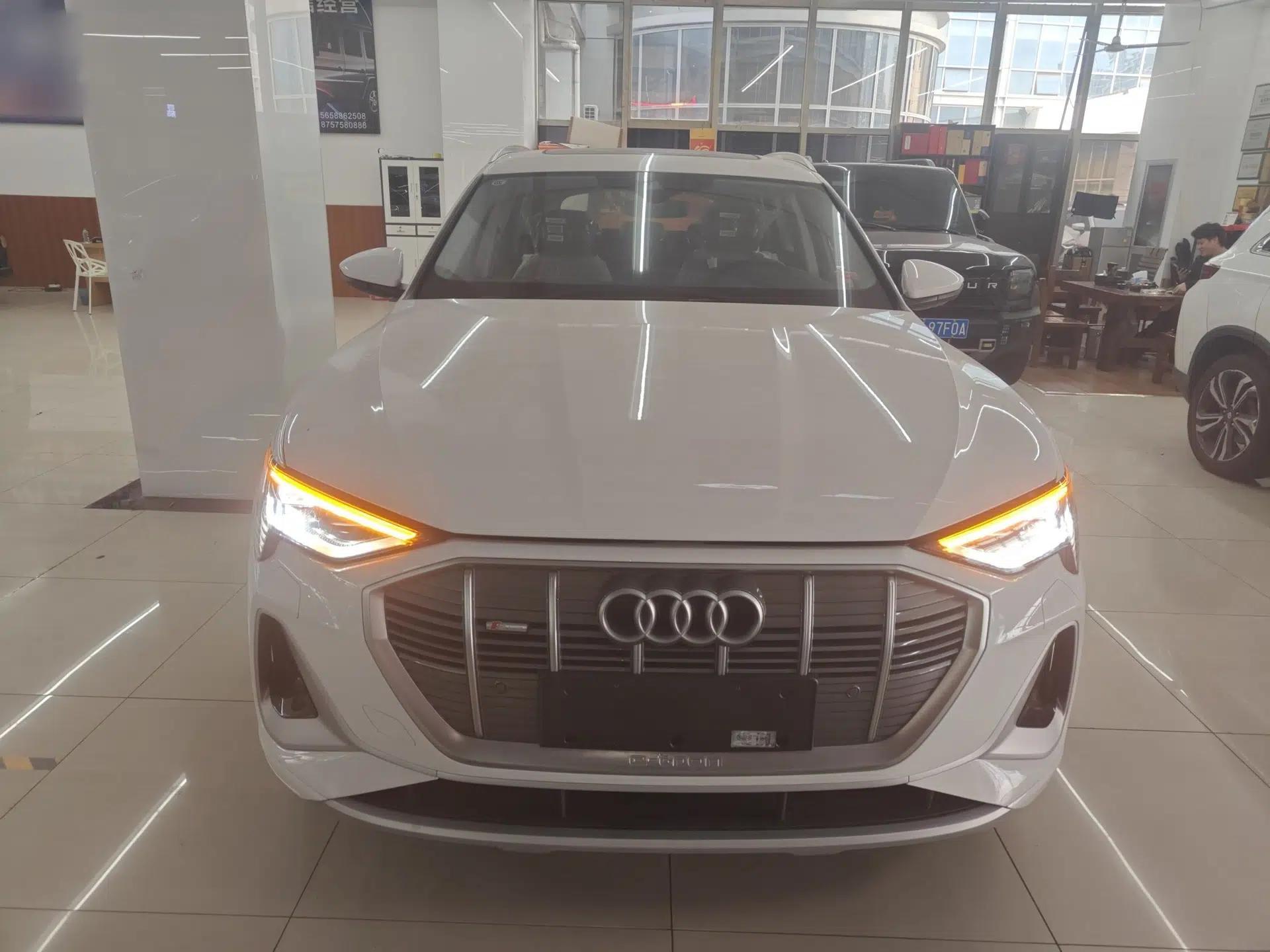 Audi e-tron 2021 50 quattro Luxury Edition — миниатюра 2