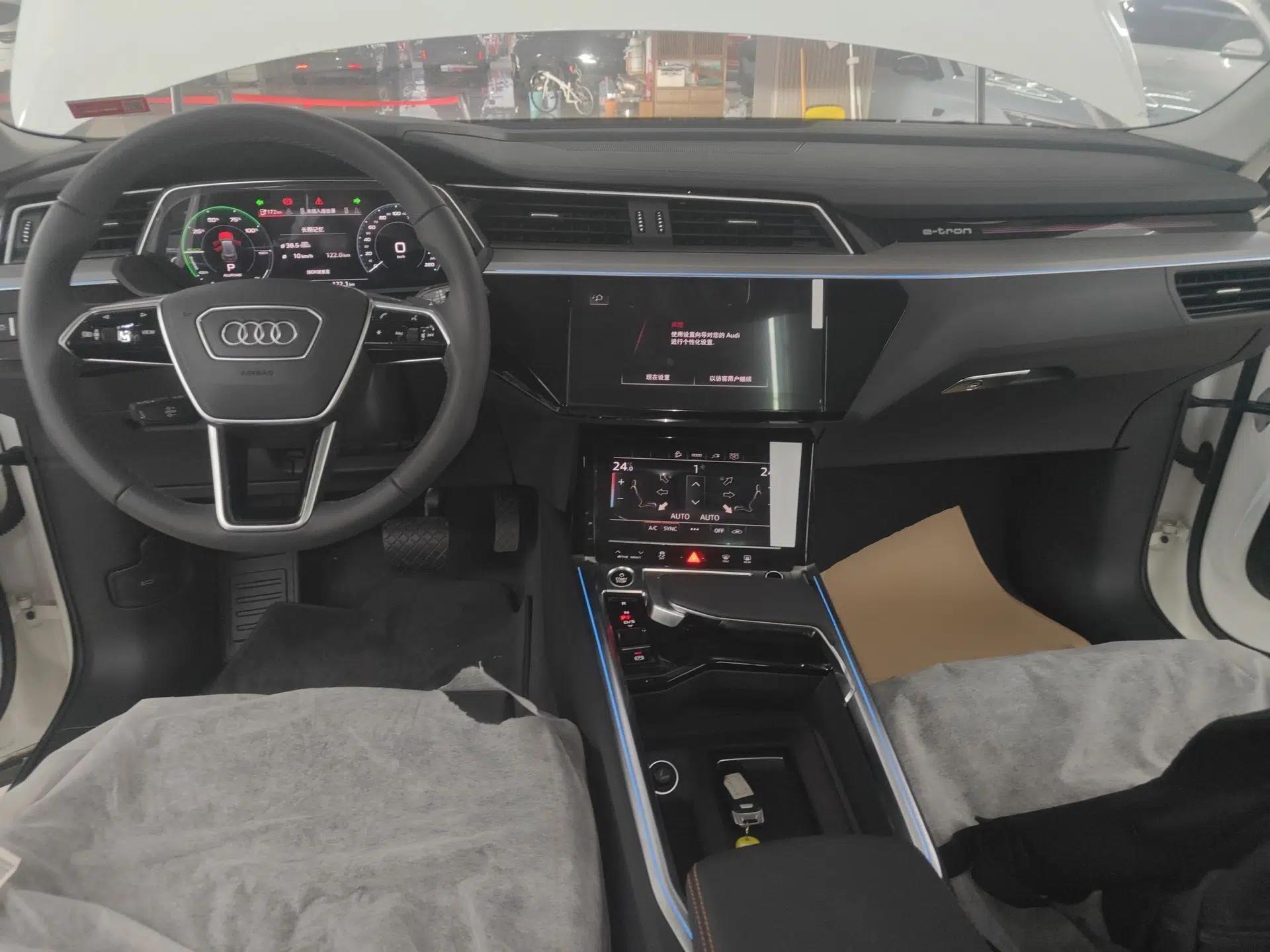 Audi e-tron 2021 50 quattro Luxury Edition — миниатюра 13