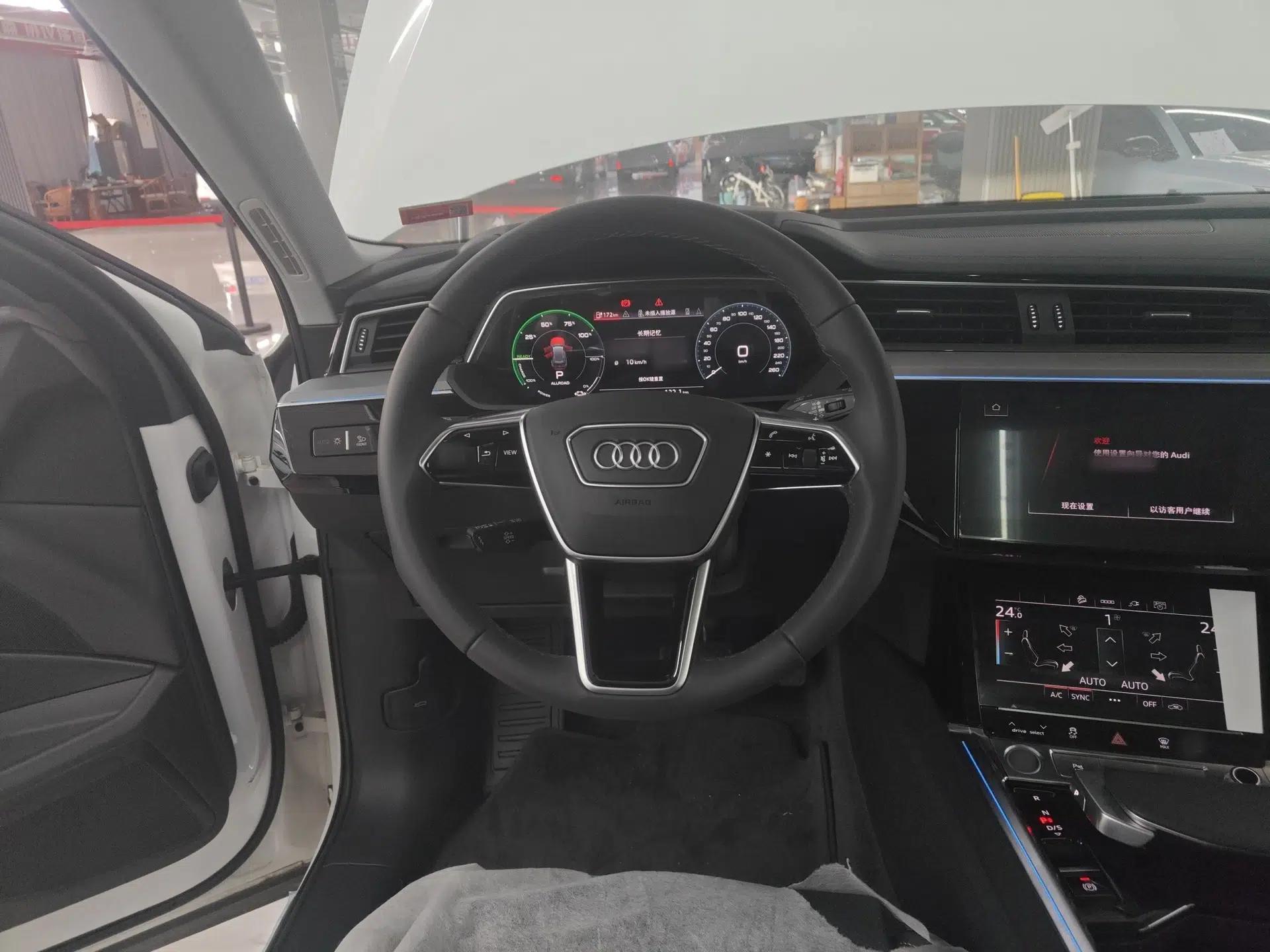Audi e-tron 2021 50 quattro Luxury Edition — миниатюра 14