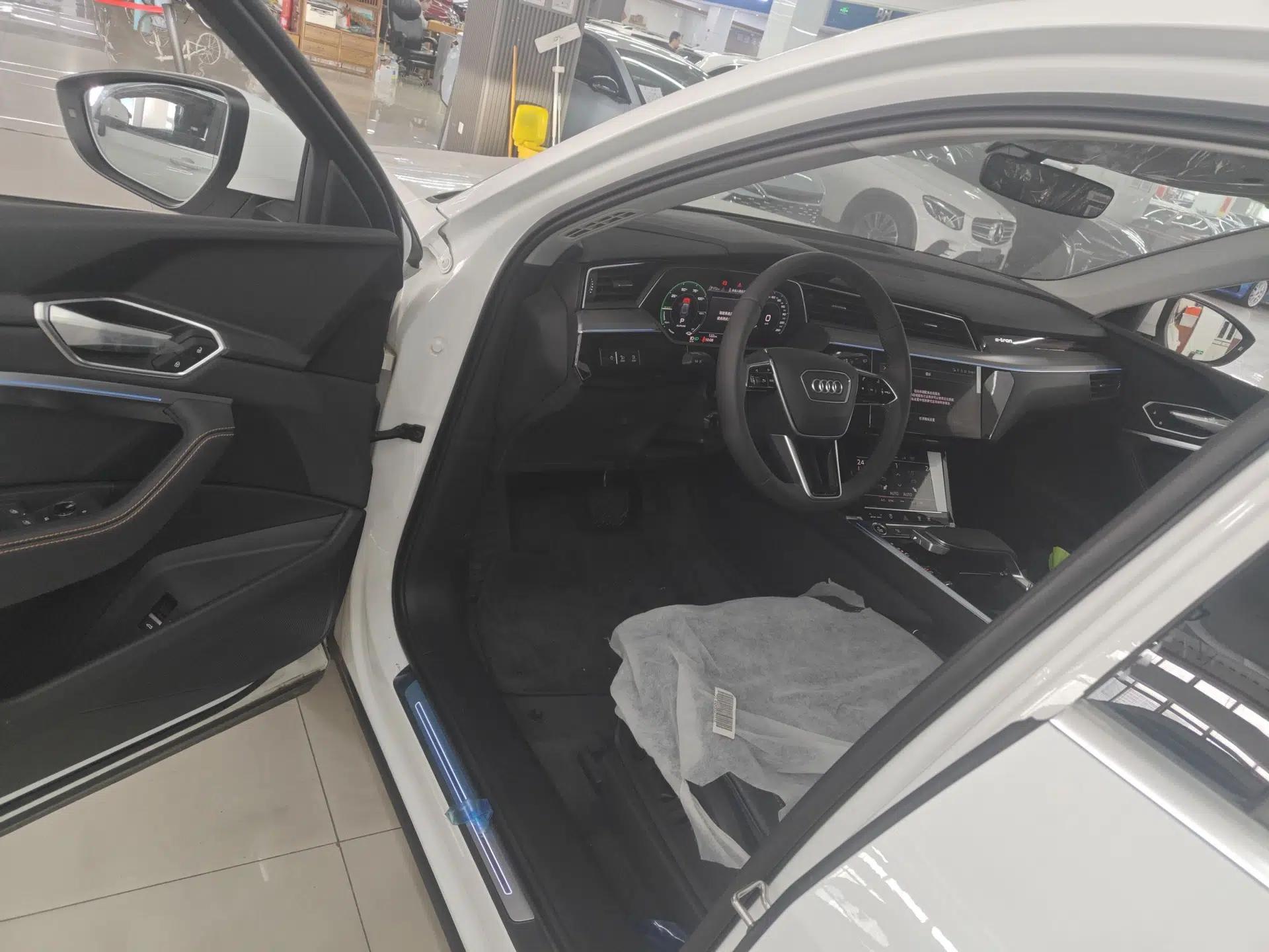 Audi e-tron 2021 50 quattro Luxury Edition — миниатюра 19