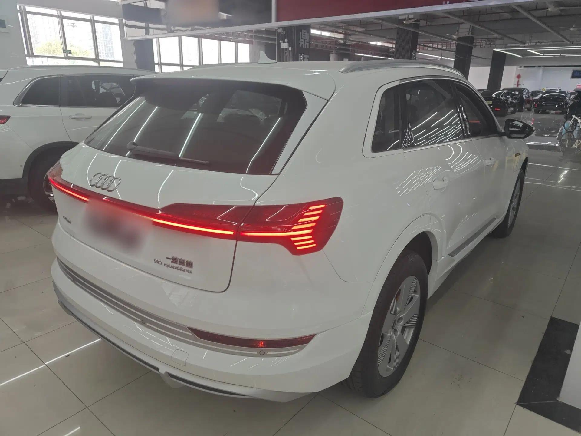 Audi e-tron 2021 50 quattro Luxury Edition — миниатюра 6