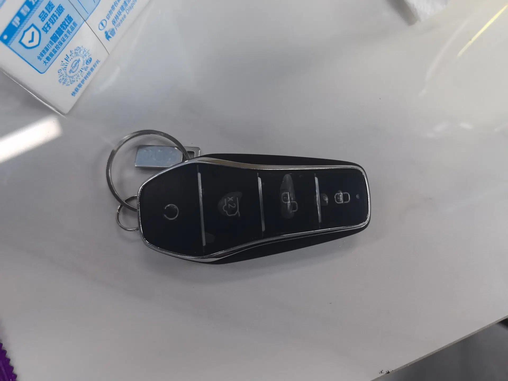 BYD Sealion 07 DM-i 2025 150 Flagship+ Edition — миниатюра 12