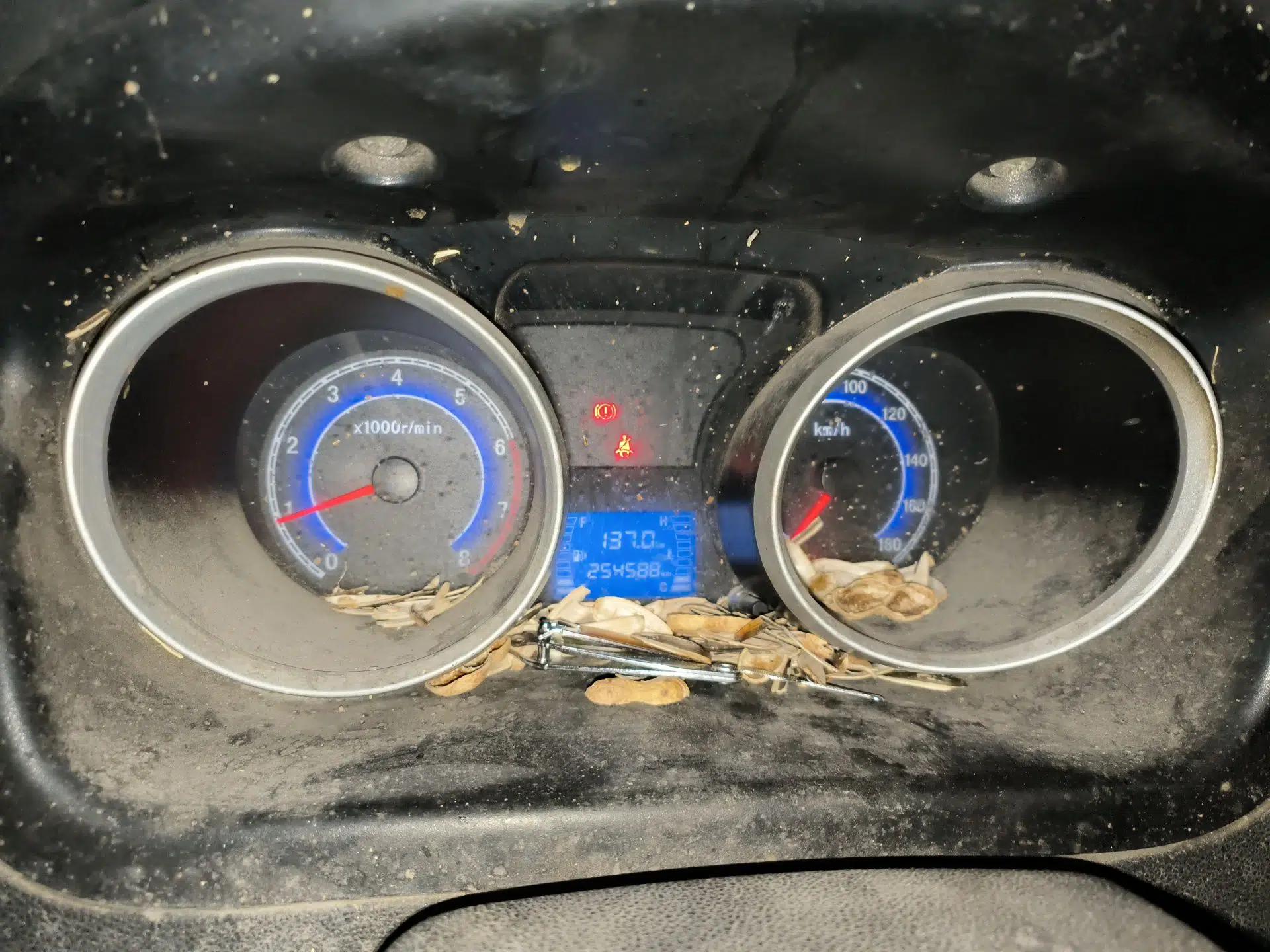 CHANGAN KAICHENG Ruixing M80 2014 1.5L Standard Version 4G15S — миниатюра 12